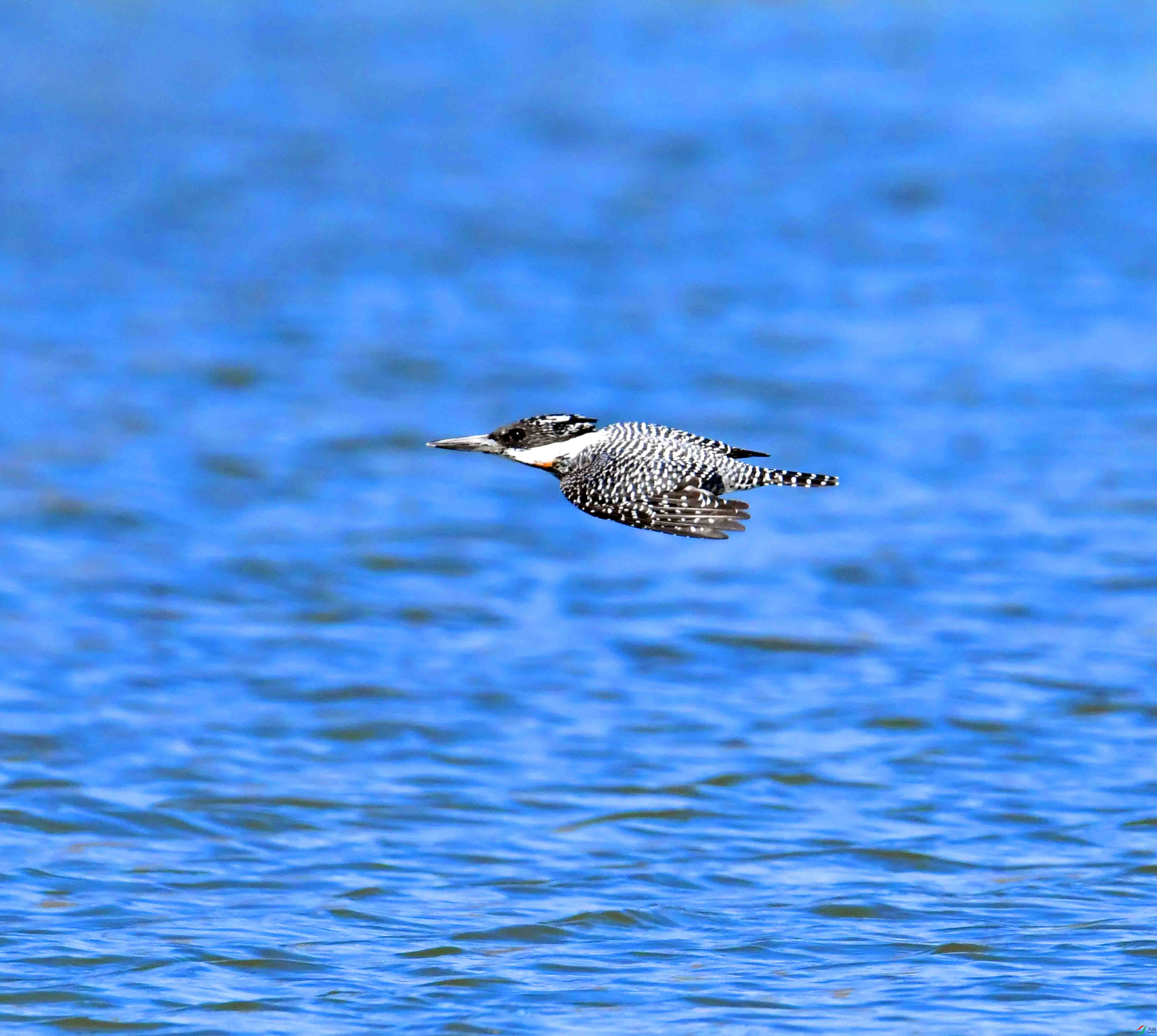 DSC_0671.JPG