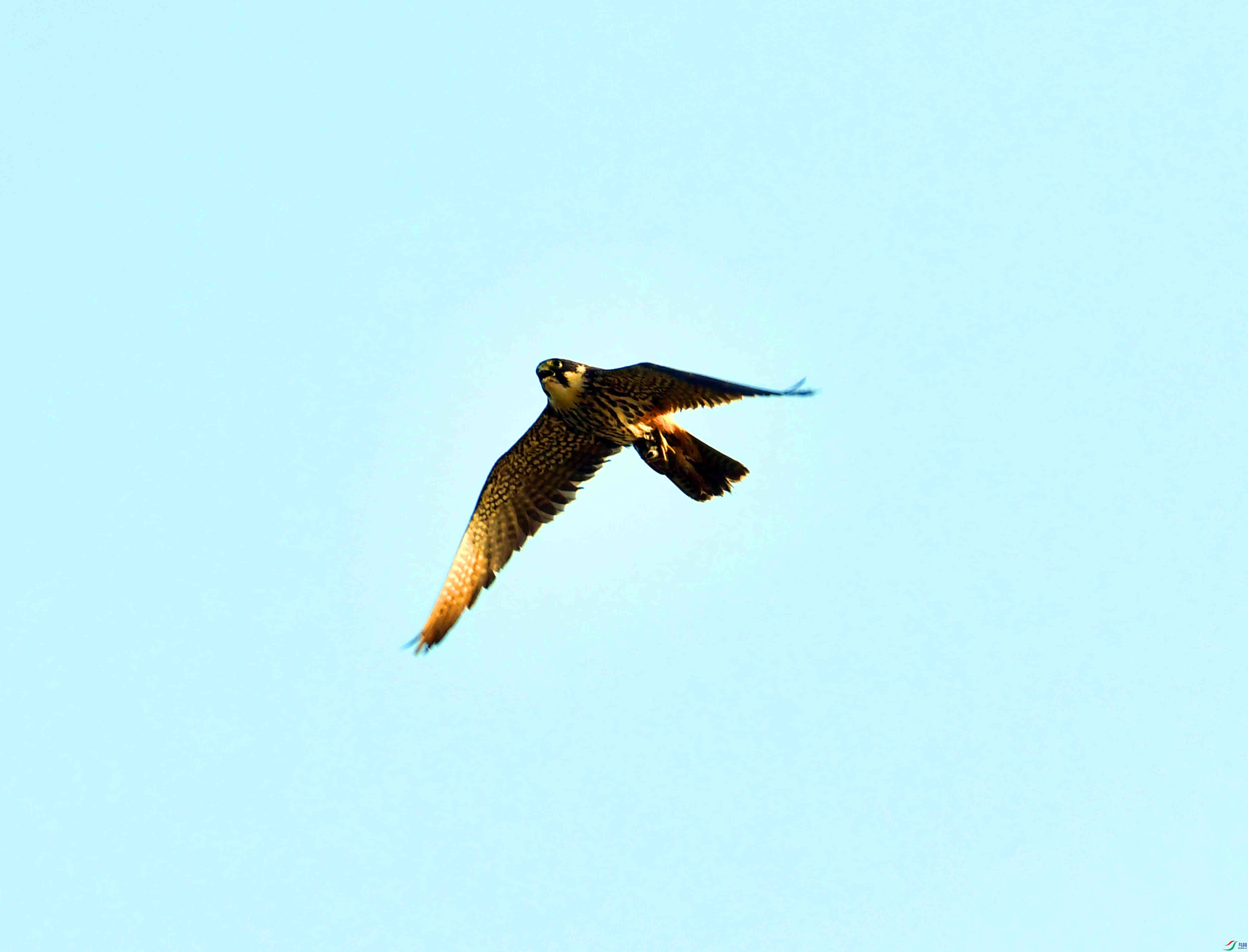 DSC_0288.JPG