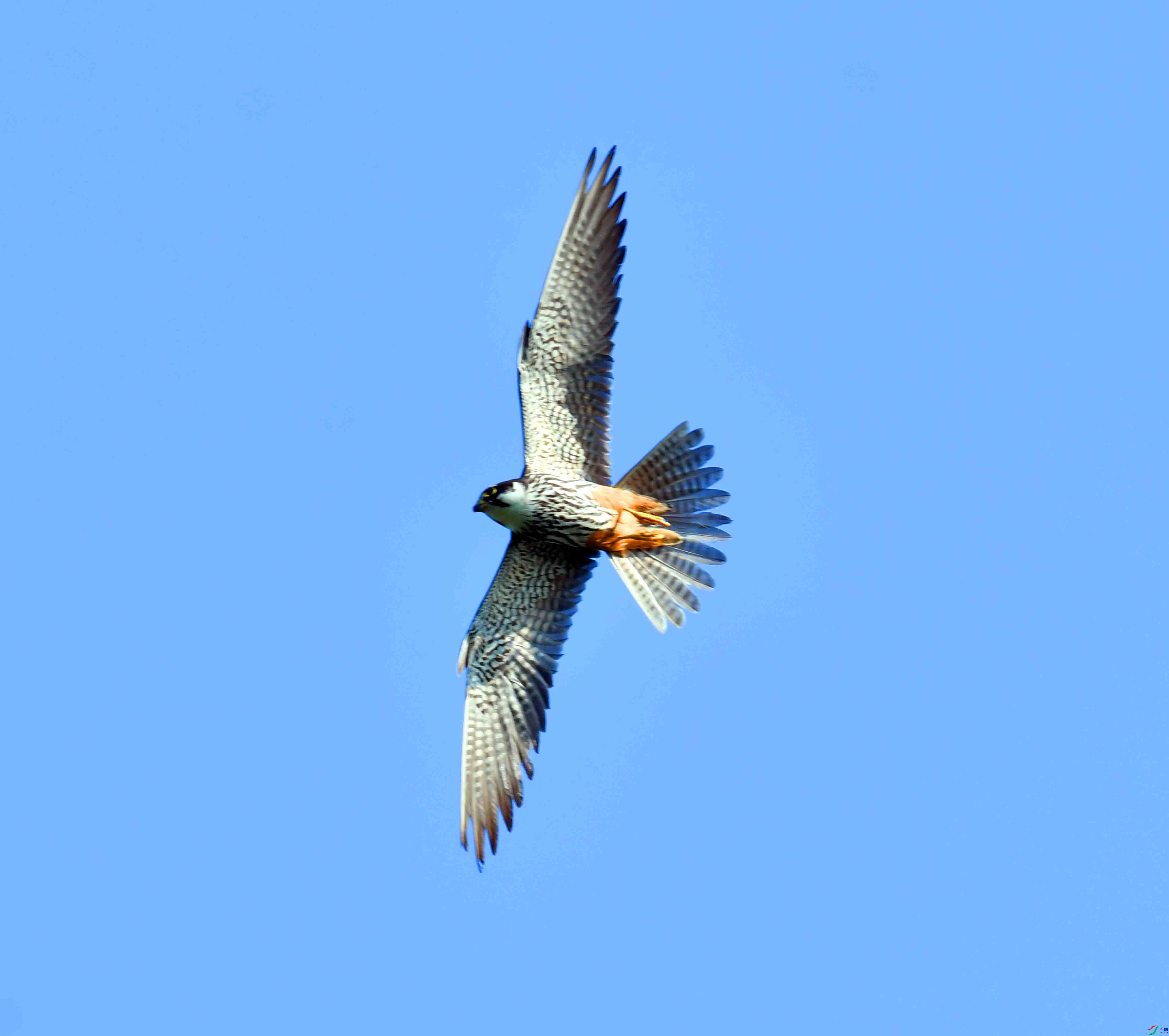 DSC_0352.JPG