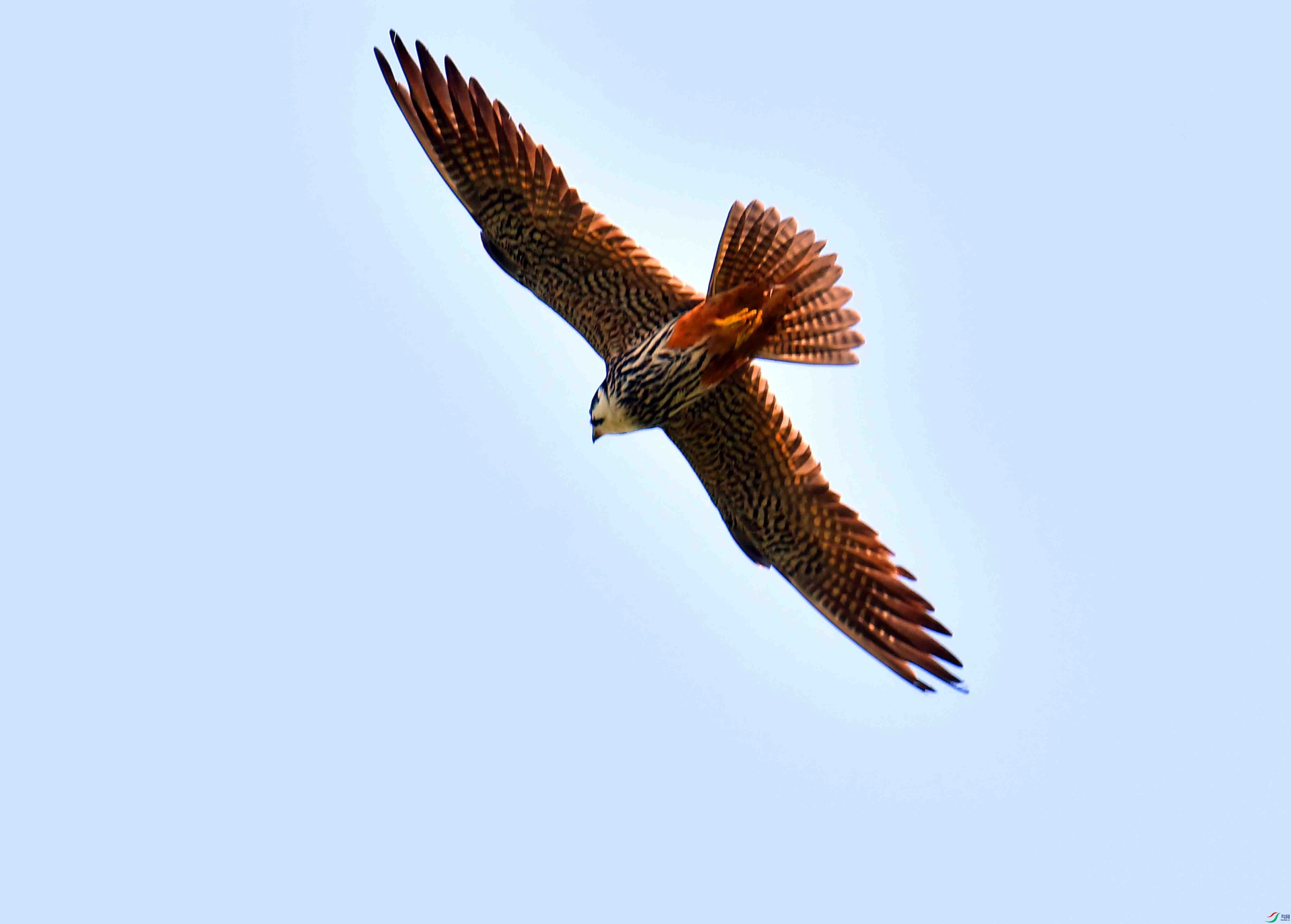 DSC_0356.JPG