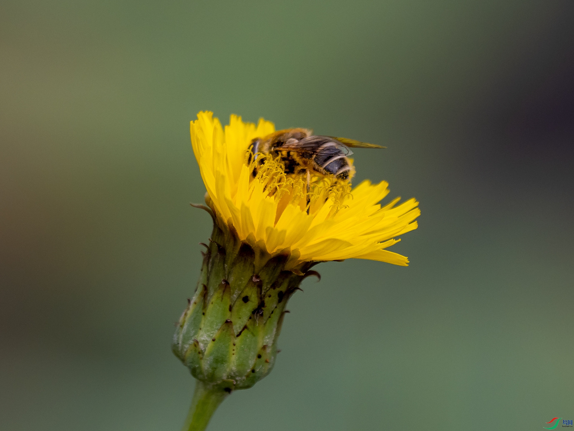 P9191655.jpg