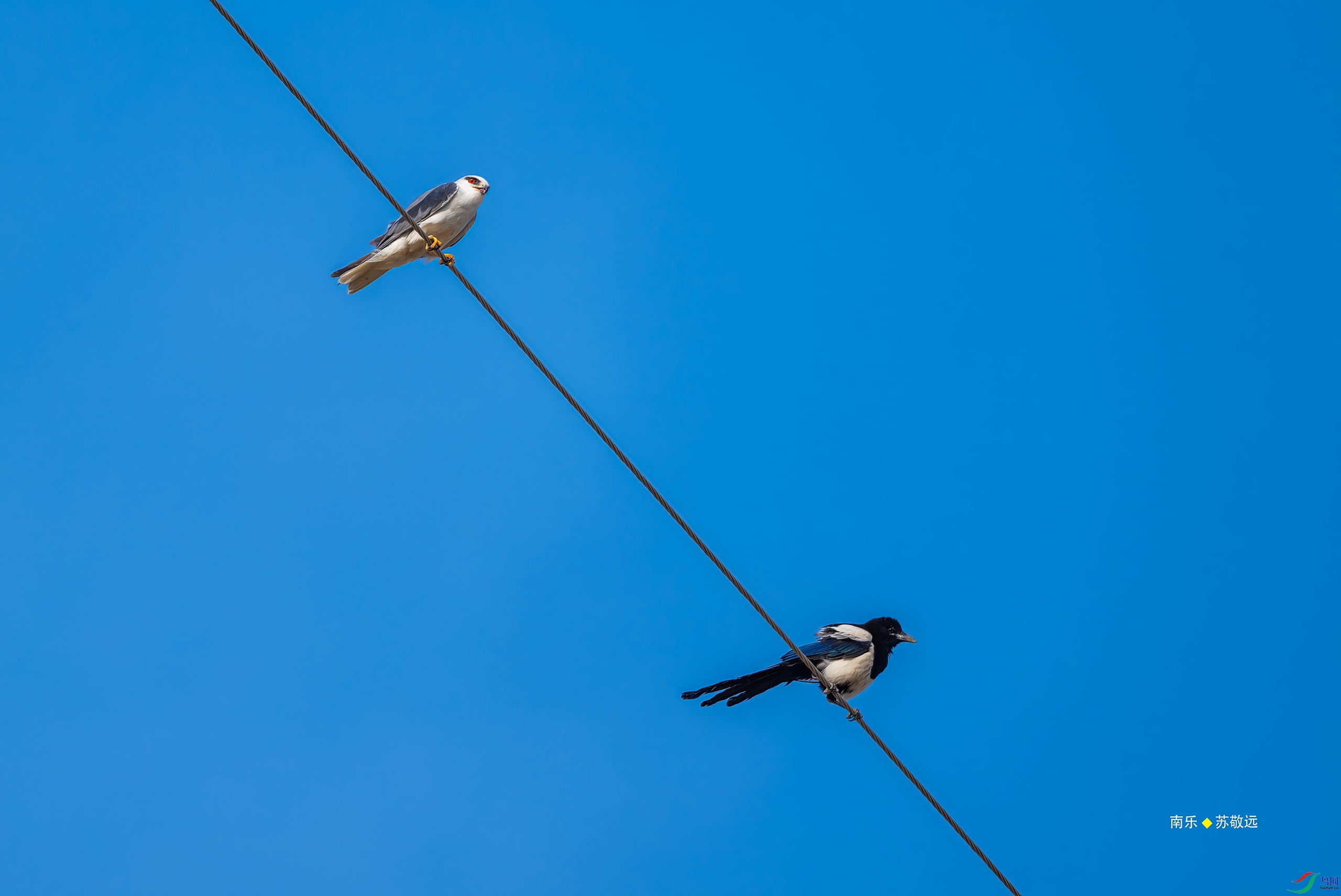 _DSC3656-(2)-DxO_С.jpg