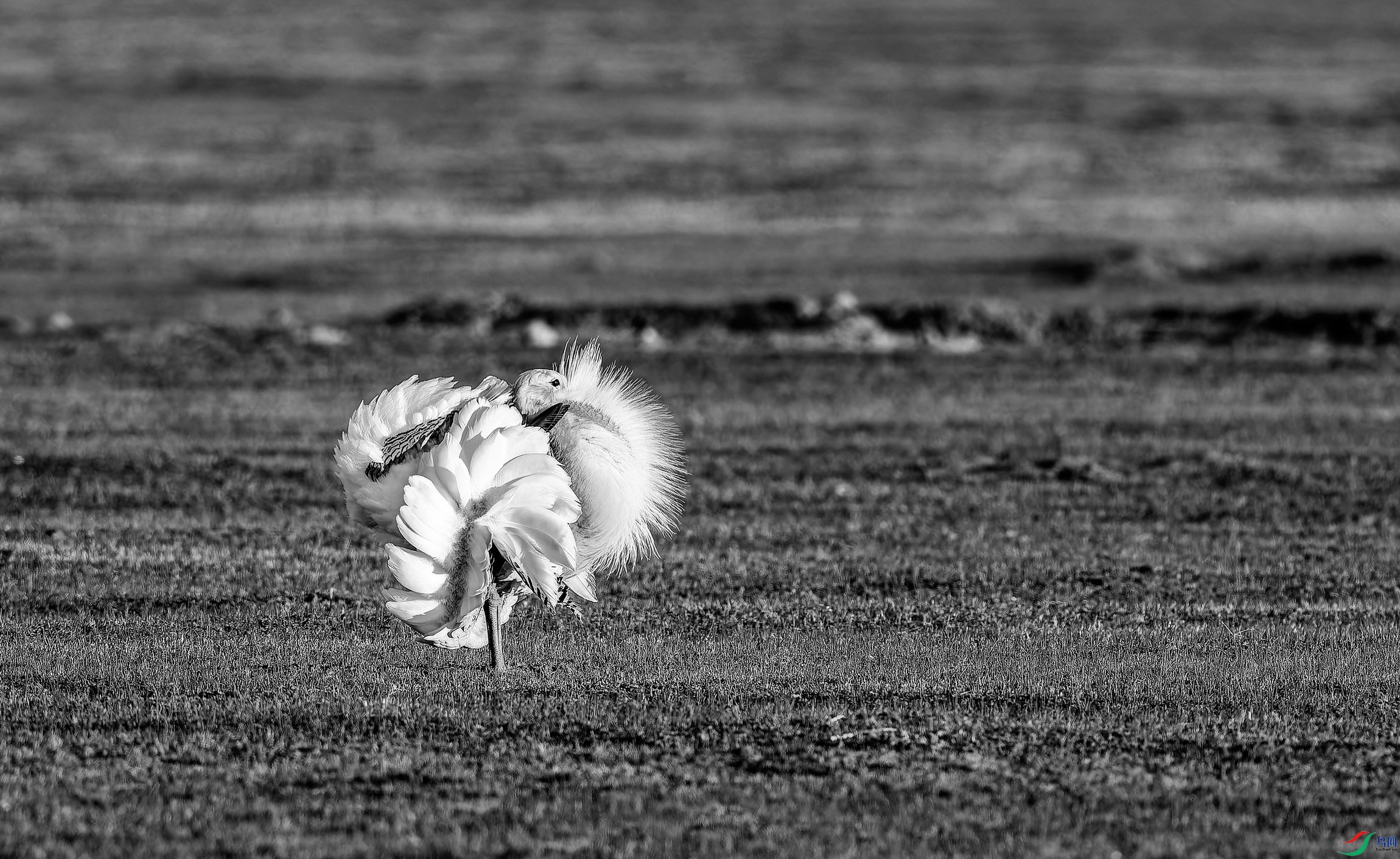 ��� (18)-01.jpg