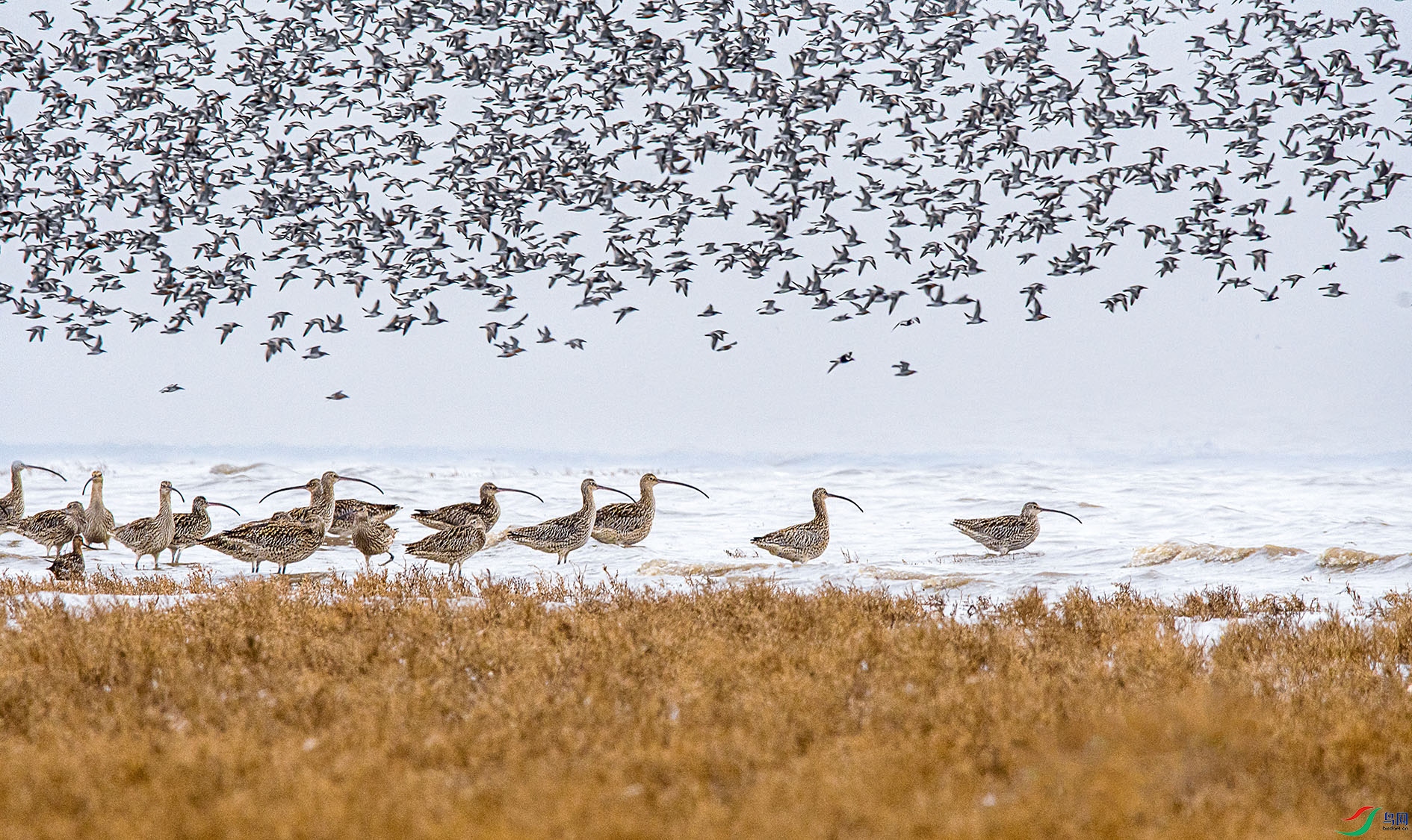 REC_4848_��ͼ�� ���� 2.jpg