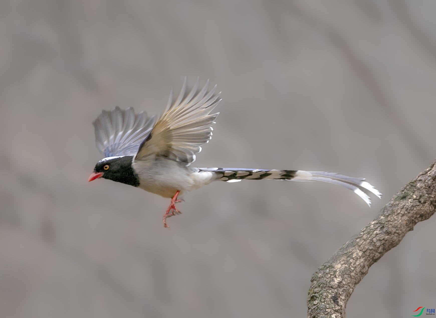 673A0690 ����.jpg