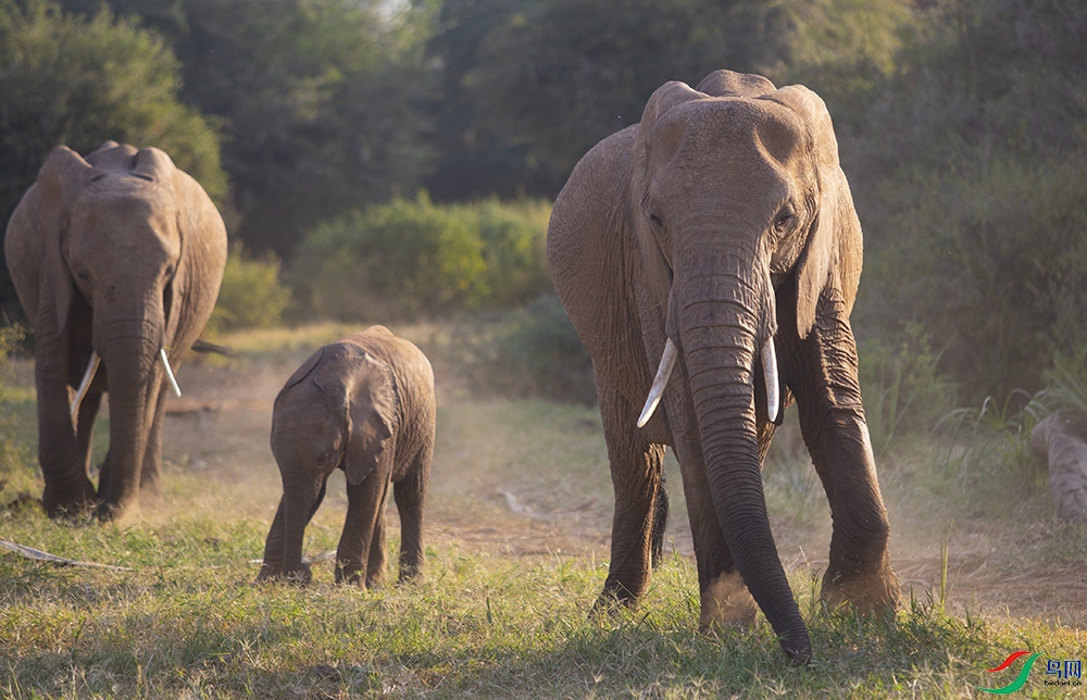 ���޴��� (24).jpg