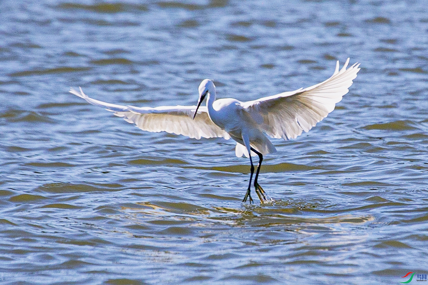 _MG_1473 ����.jpg