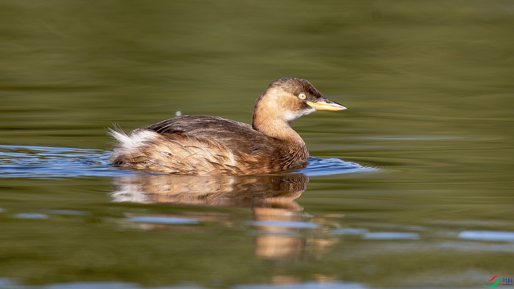 _MG_0513 ����.jpg