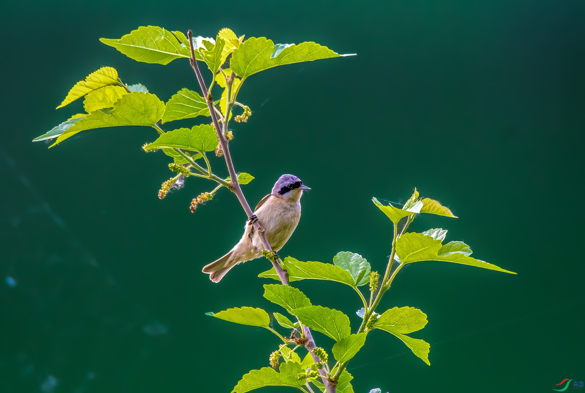 DSC_1765_��ͼ�� ���� 2.jpg