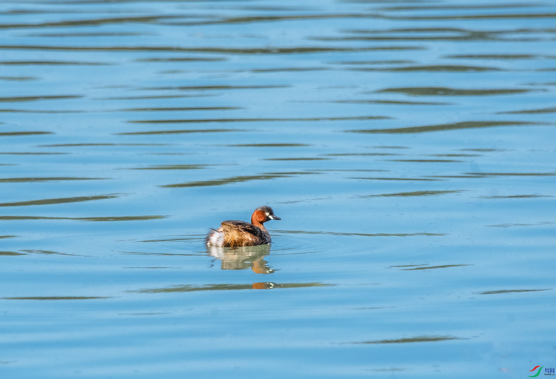 DSC_5005_��ͼ�� ����.jpg