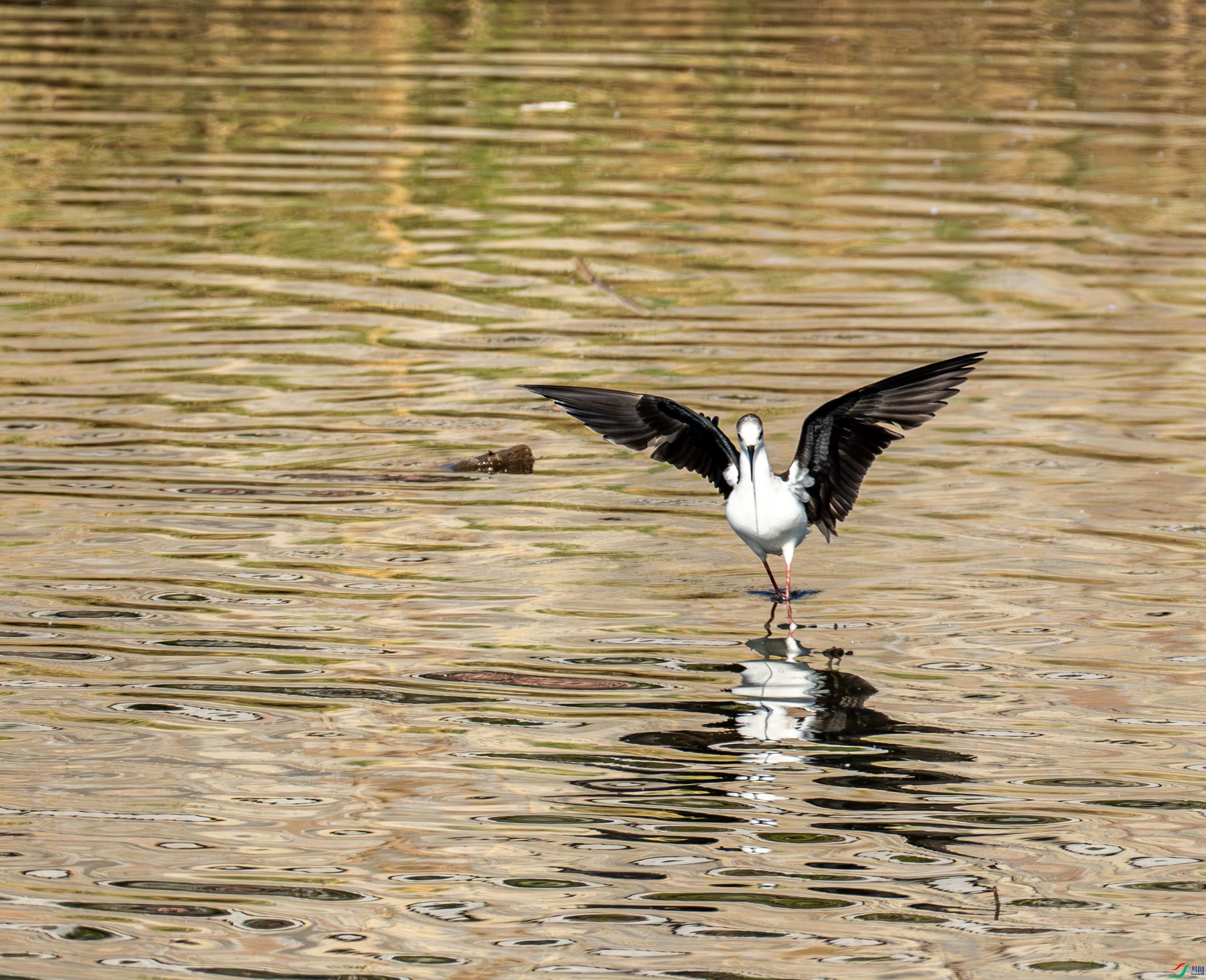 �ڳ᳤���� (17 - 21).jpg