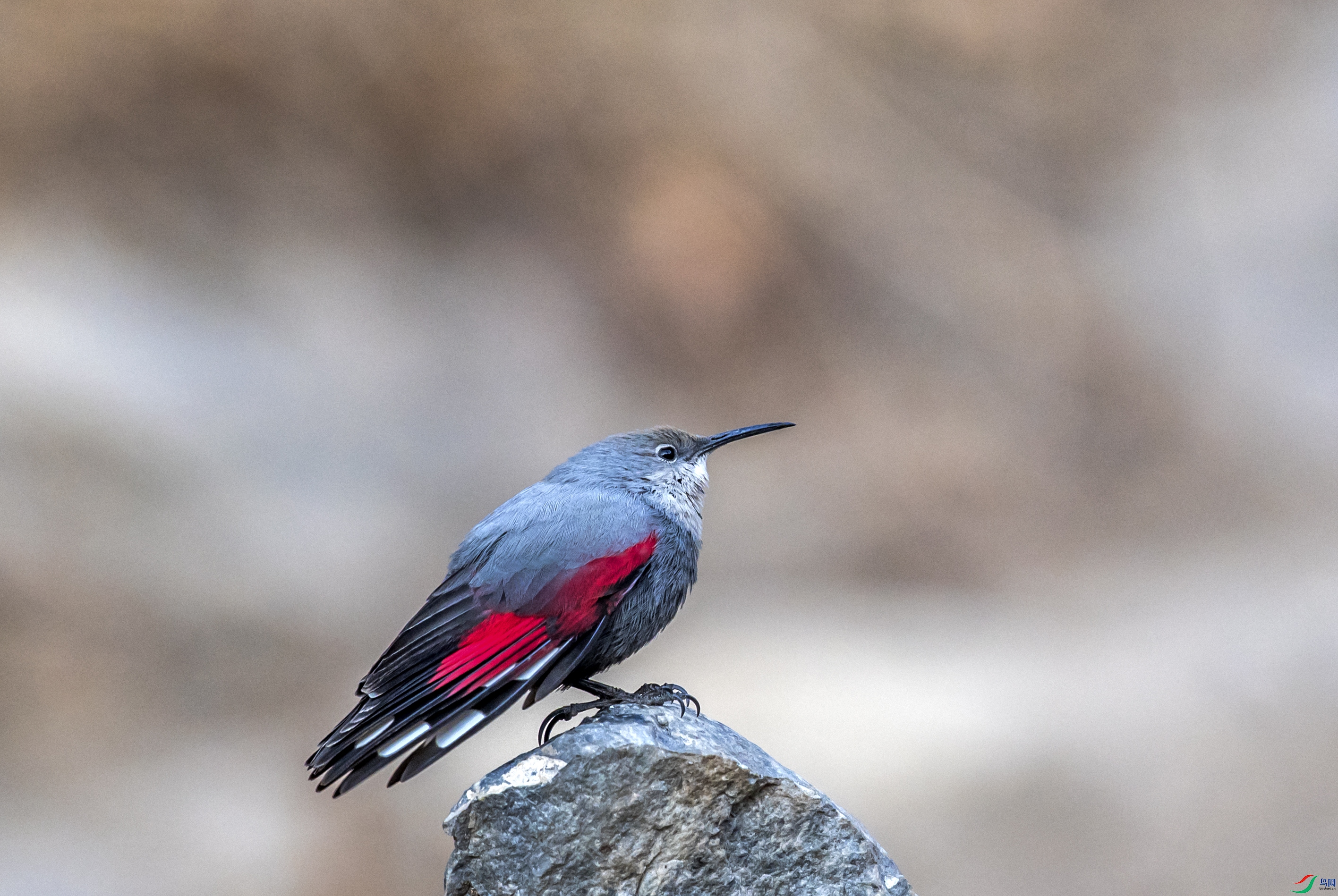 DSC_3584.jpg