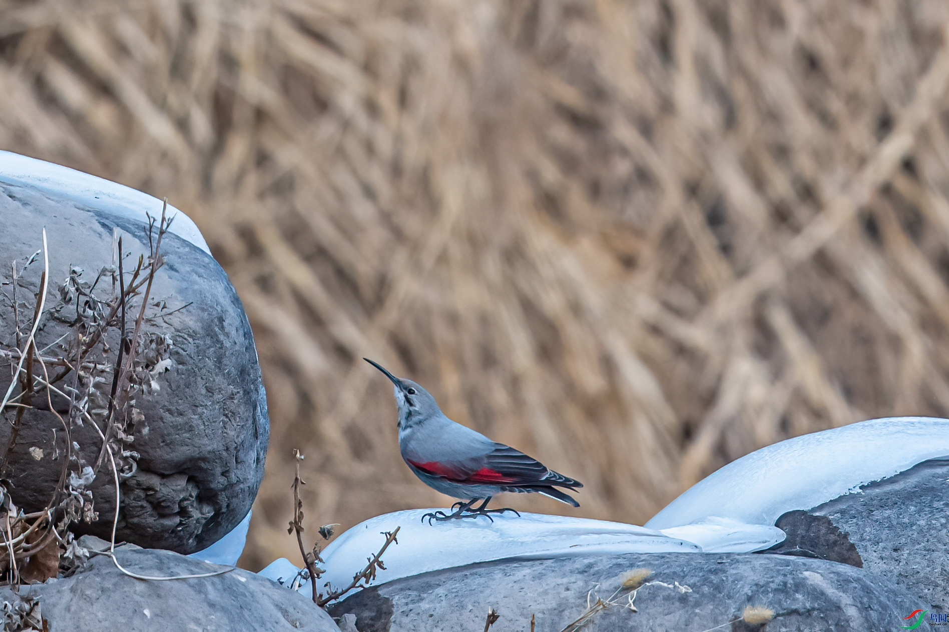 NIKON-CORPORATION__NIKON-D5__2018_12_13__49c495d8-11.jpg