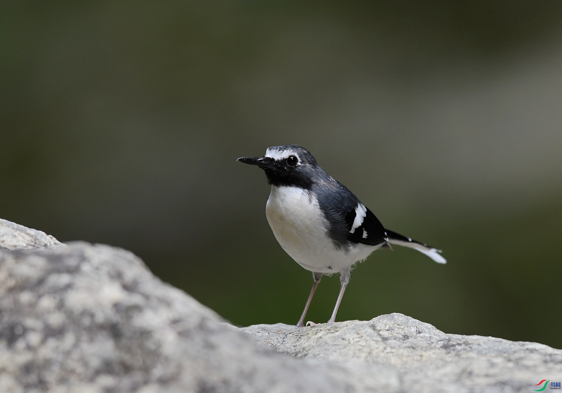 DSC_8465.jpg