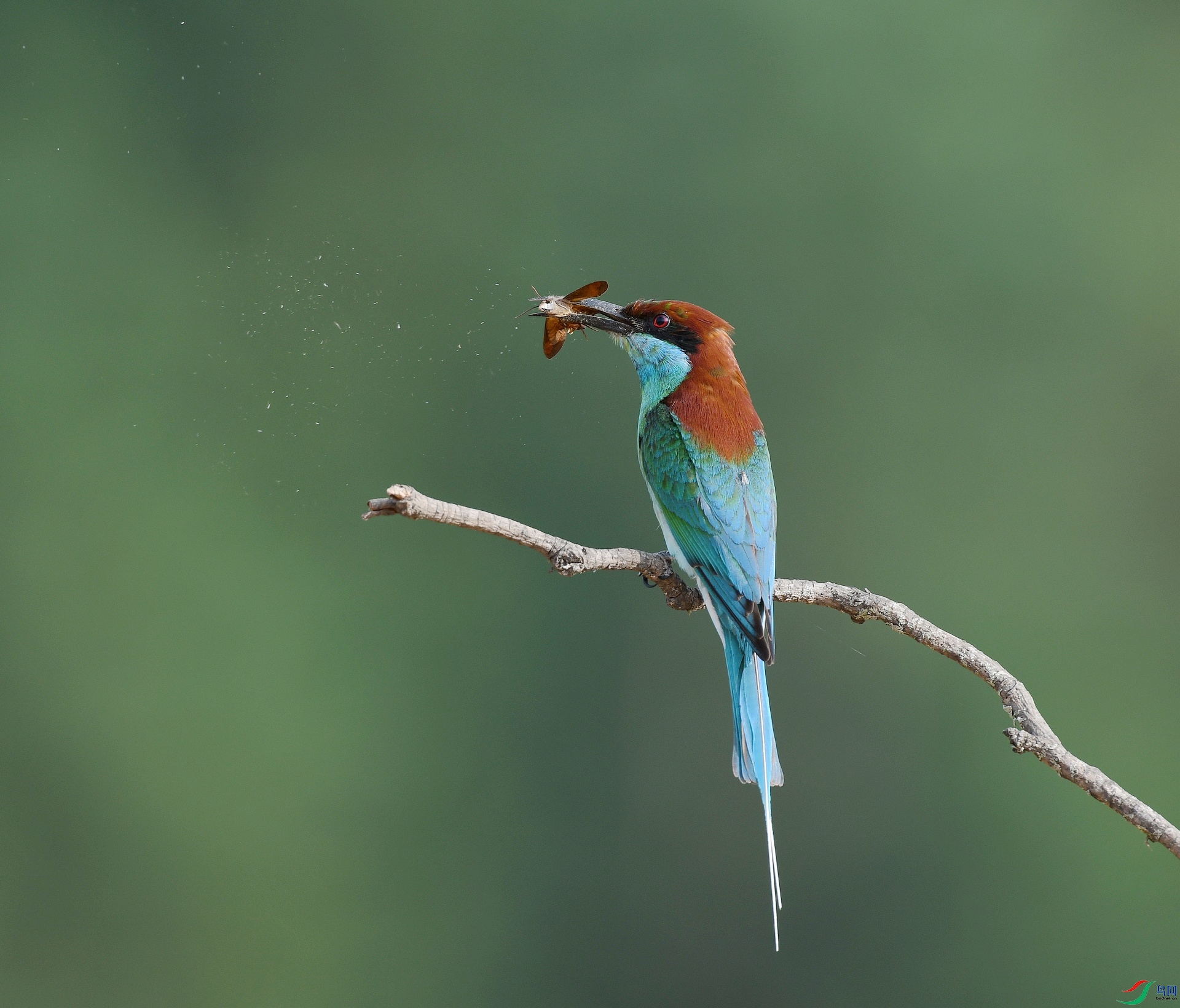 DSC_9305.jpg
