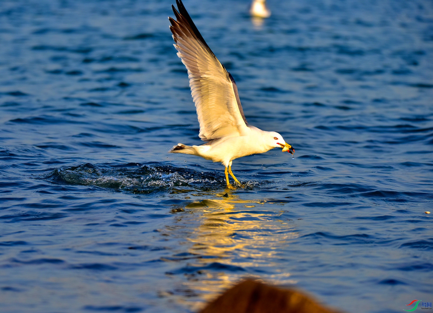 DSC_3589-2019-1-6_����.jpg