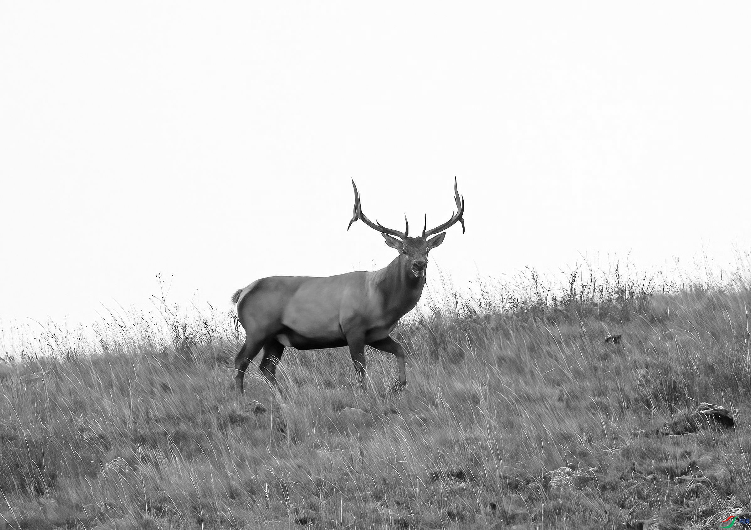 DSC02467 ����_����_����_����.jpg