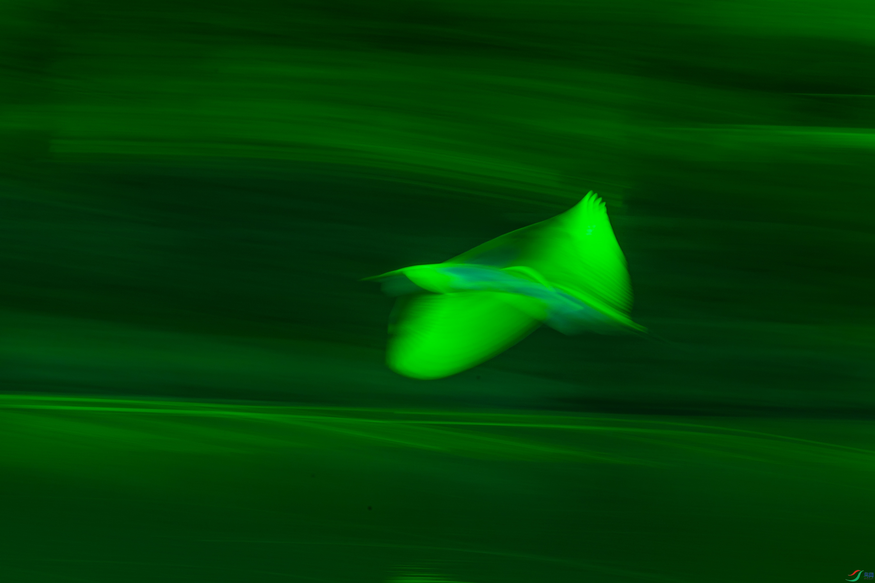 DSC_6357.jpg