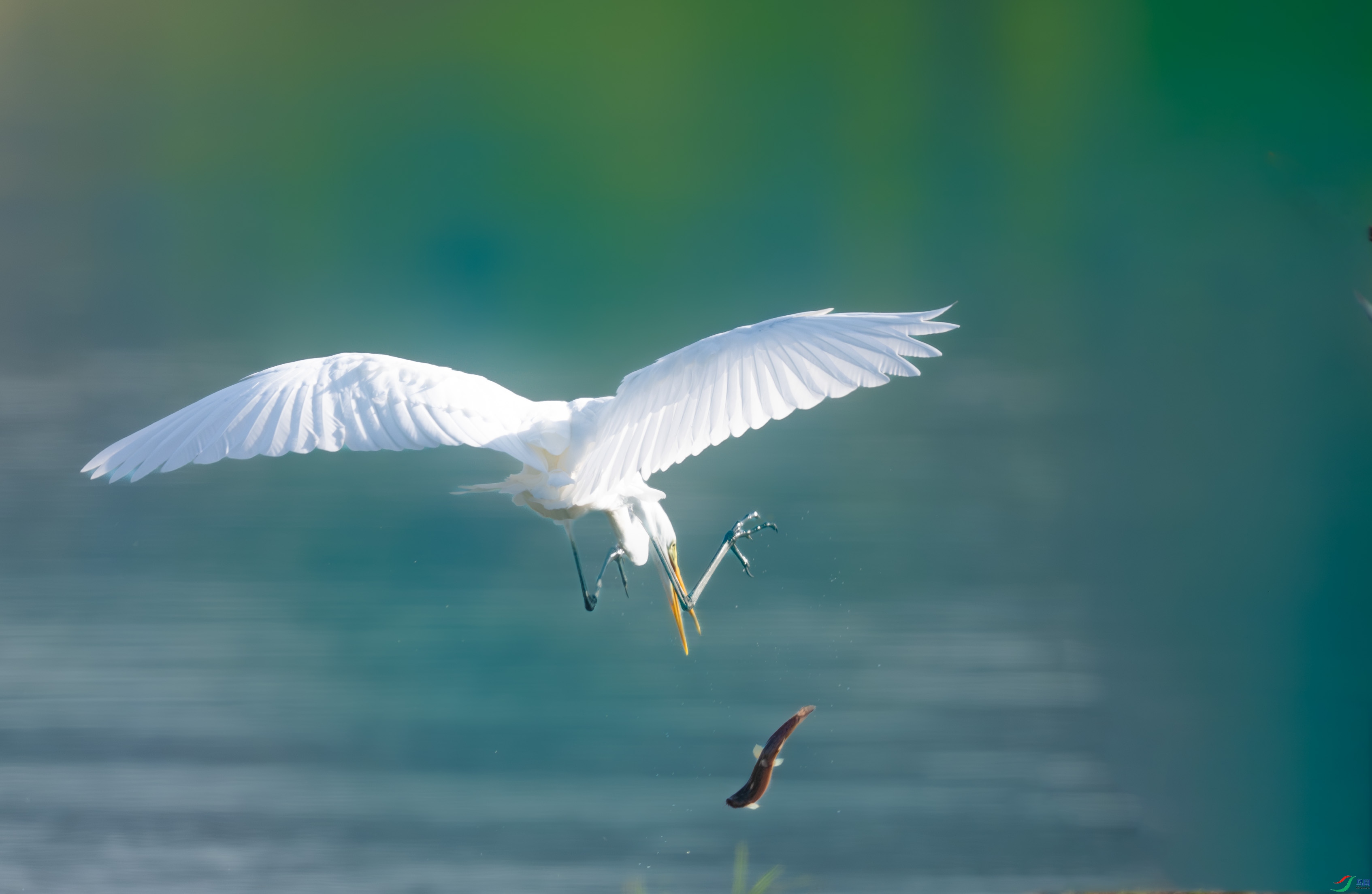 DSC_7142.jpg