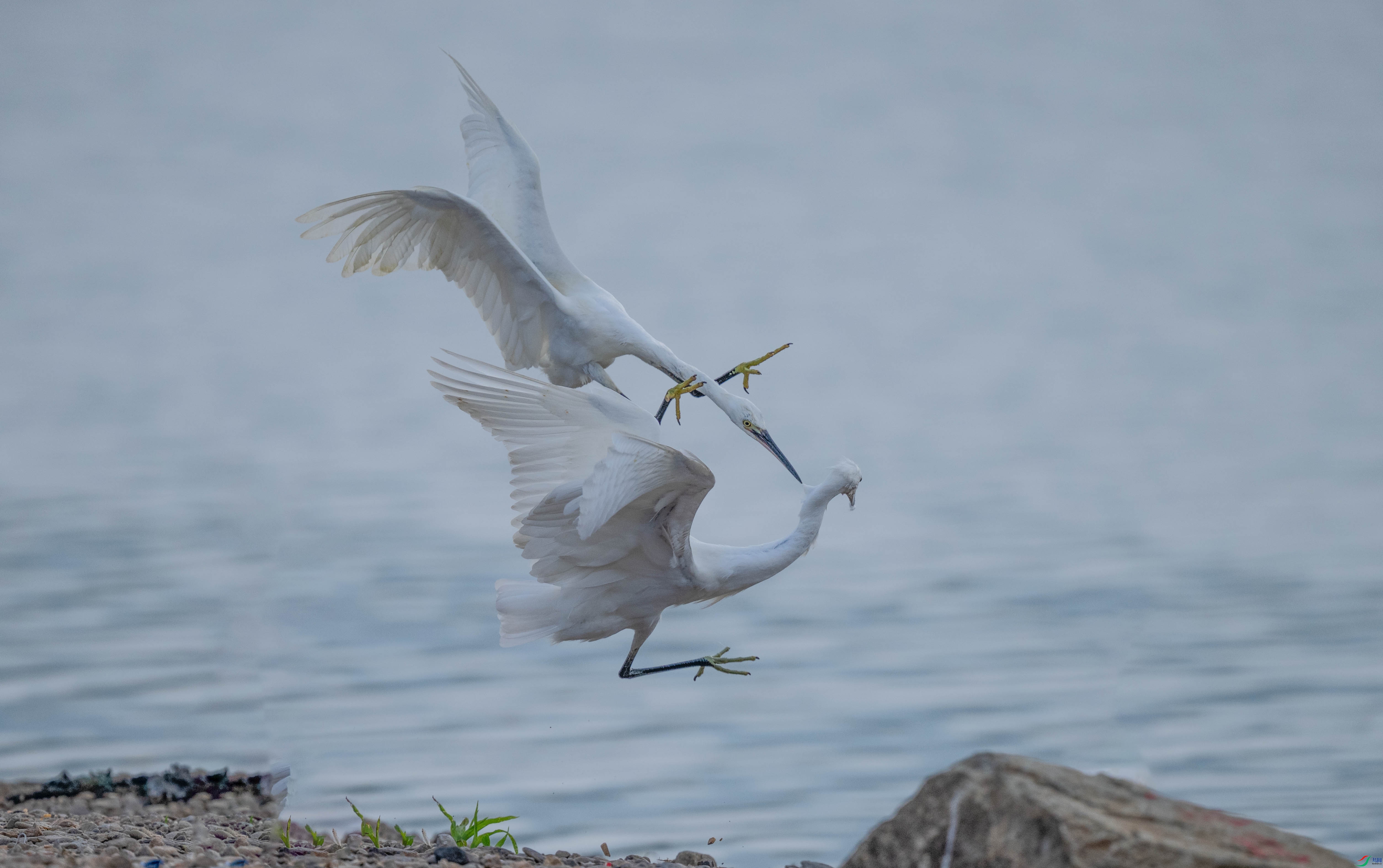 DSC_7253.jpg