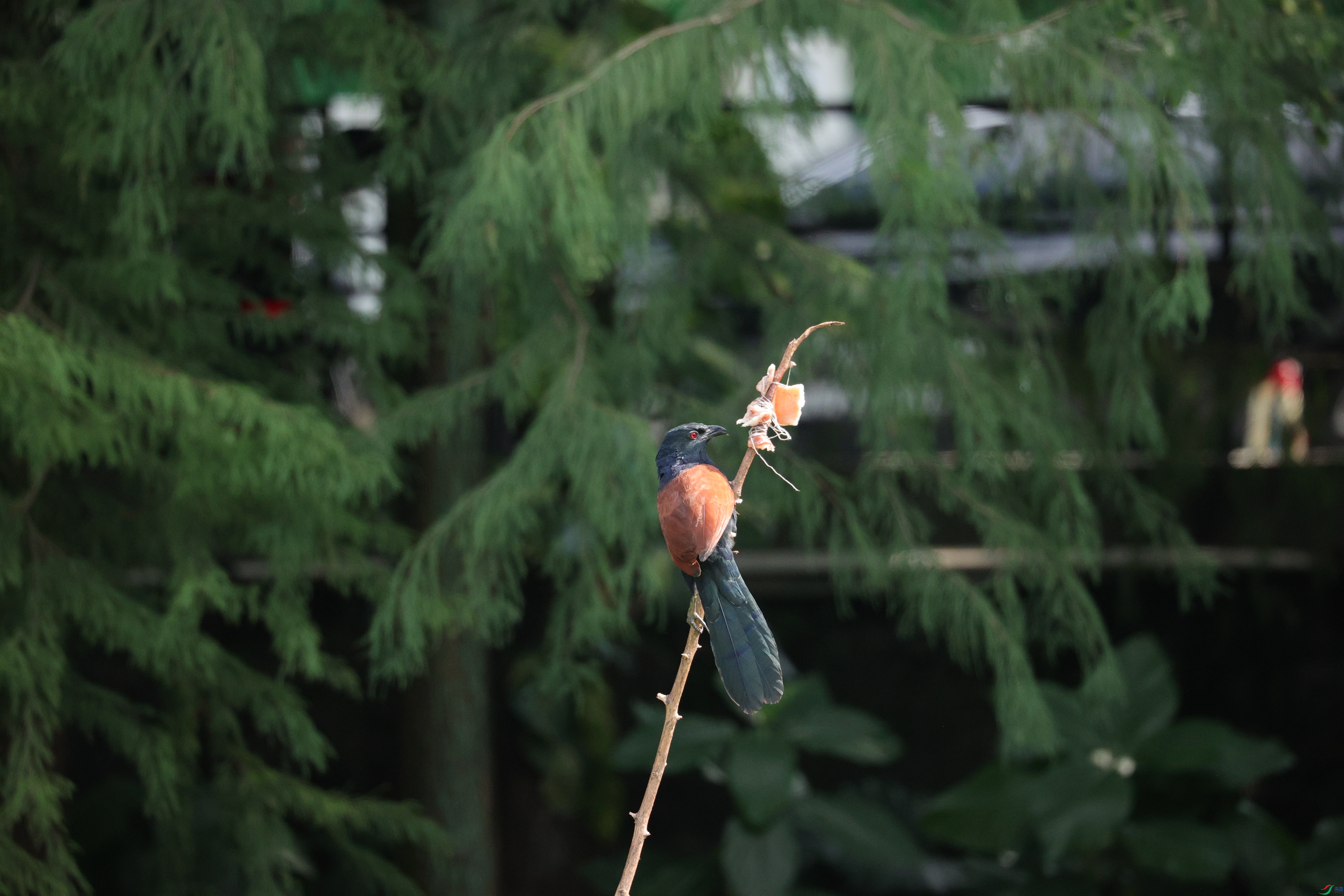 7718��ש����