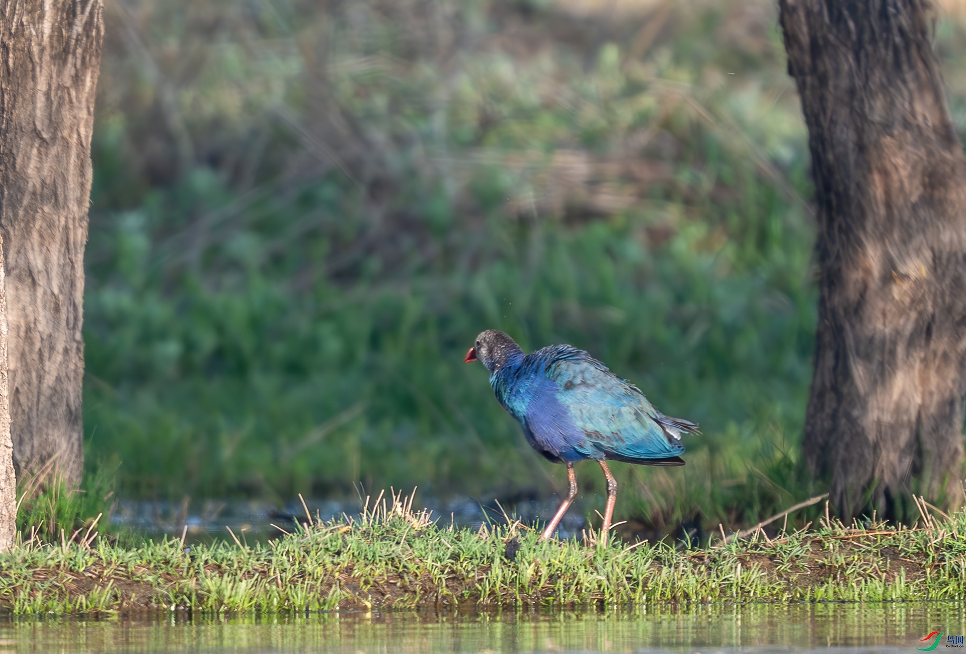 DSC_4110.jpg