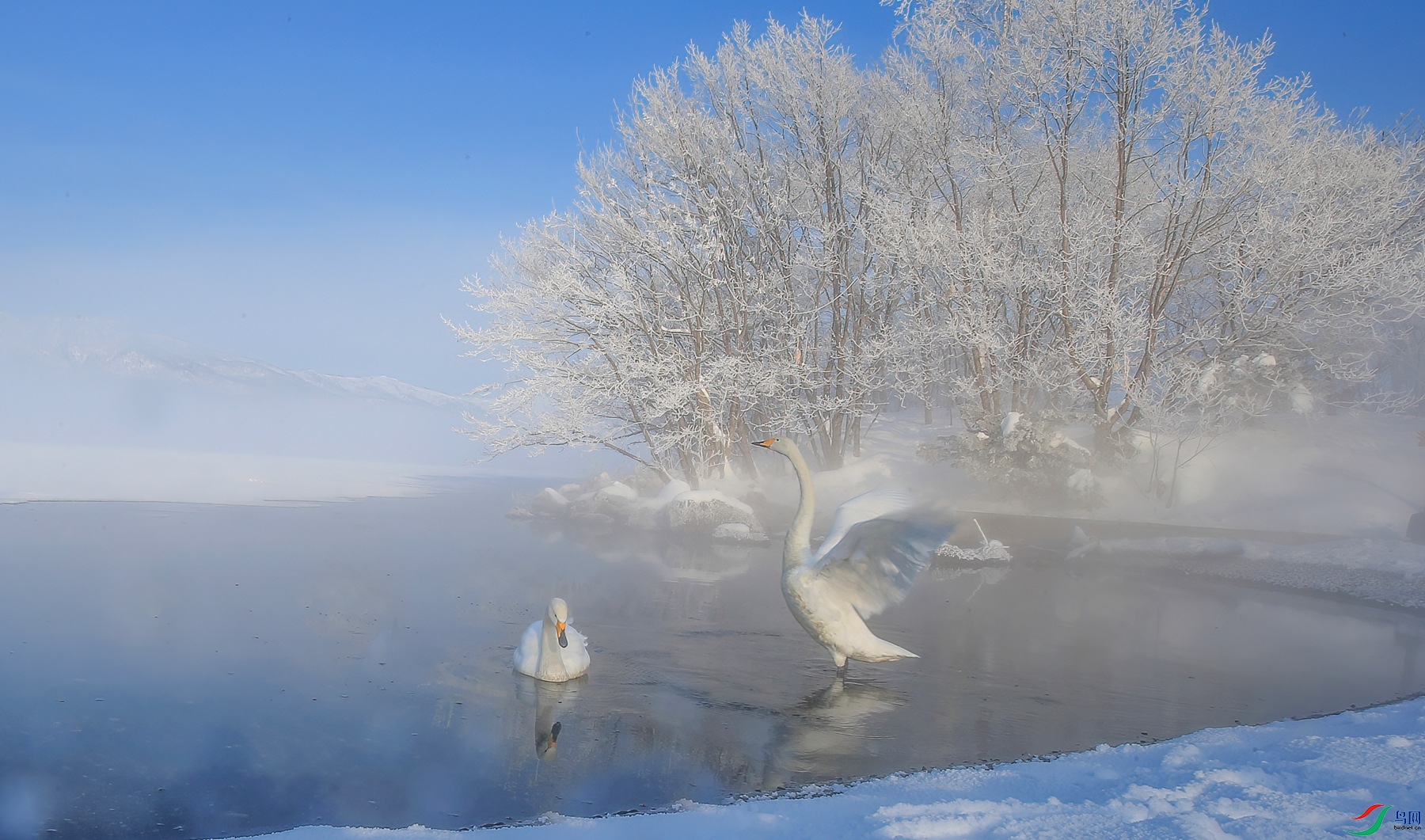 DSCA3126_����.jpg