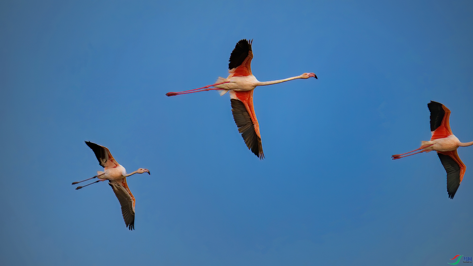 DSC_9123-1-20250104�� .jpg