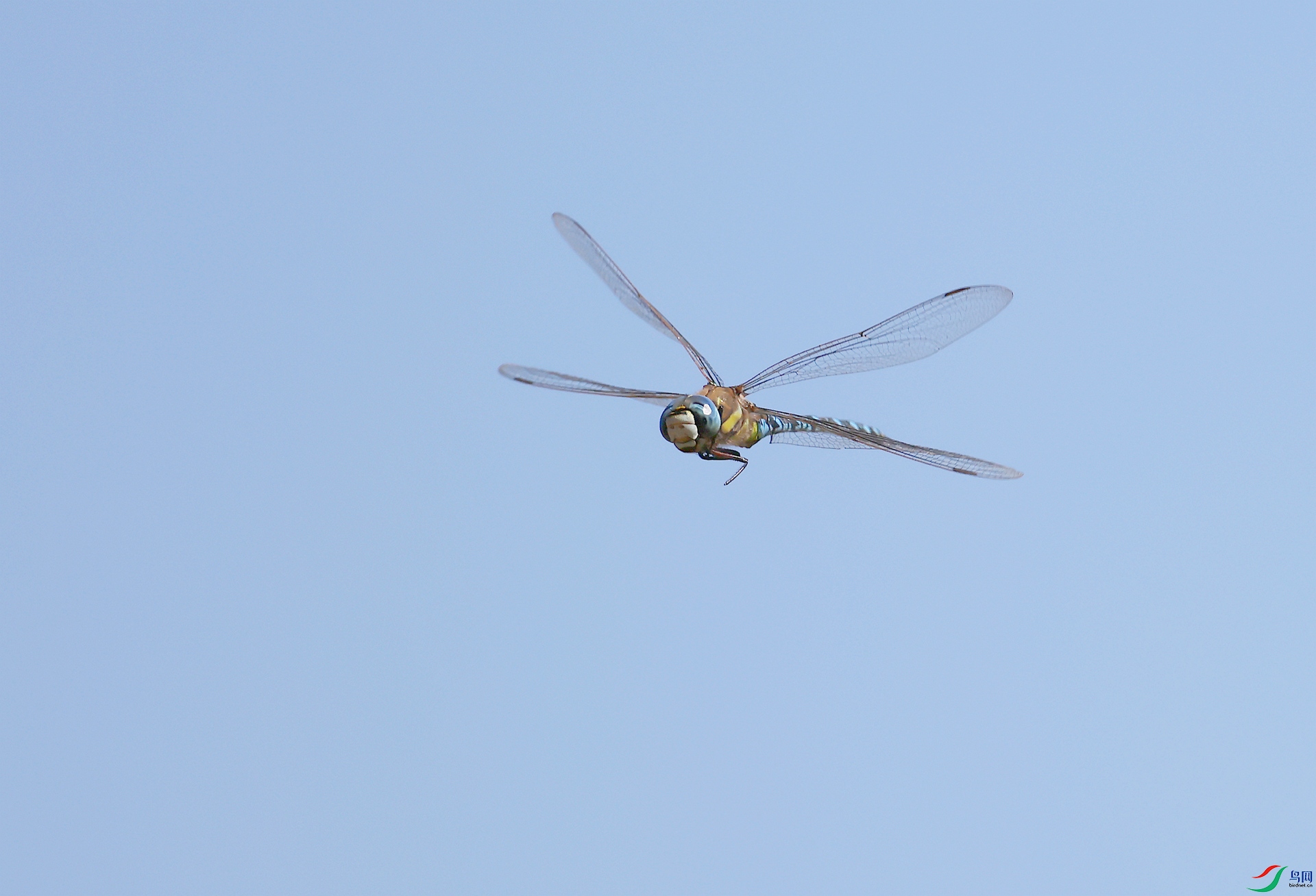 2F5A7503.JPG