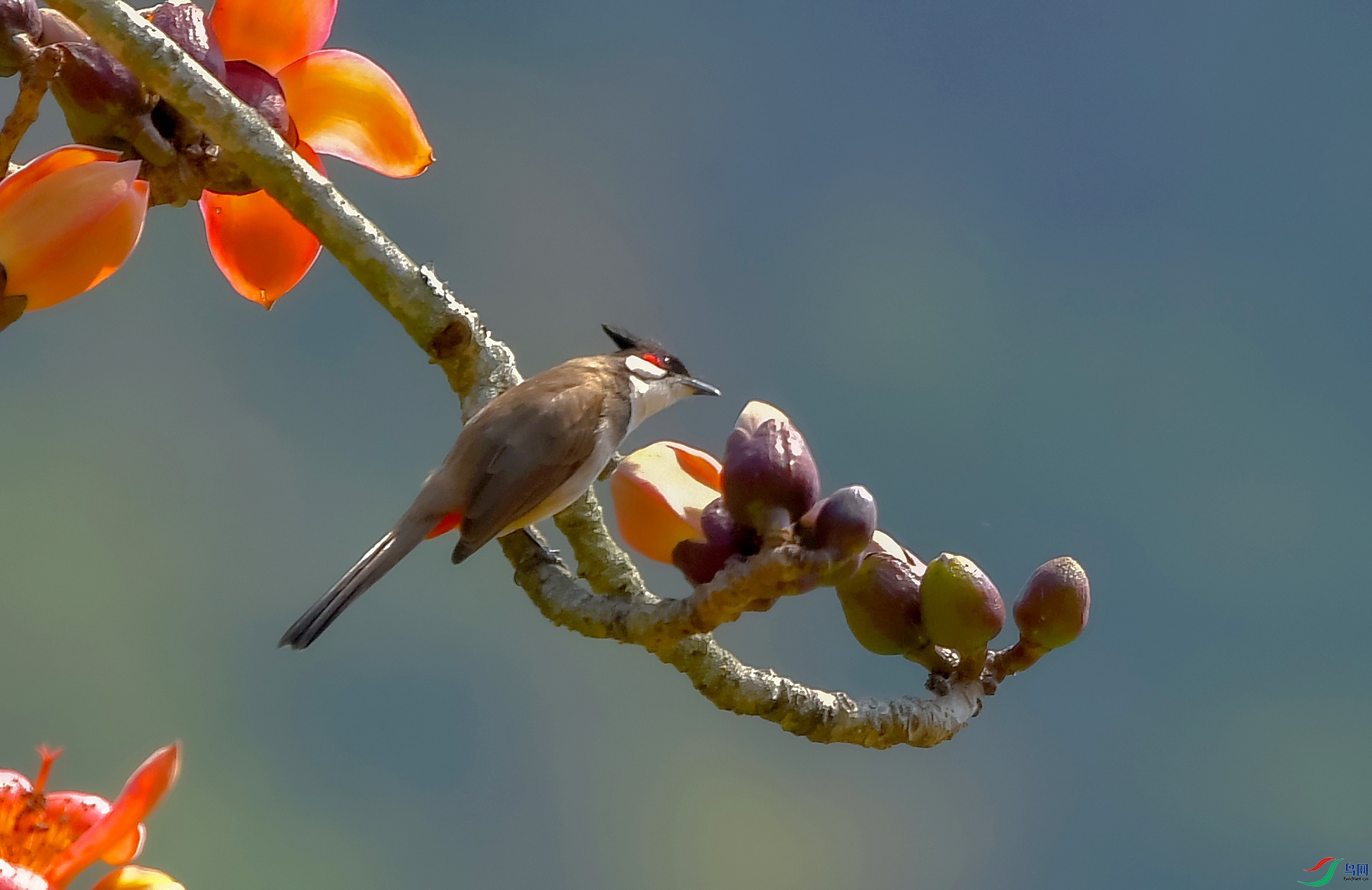 DSC_5161.JPG