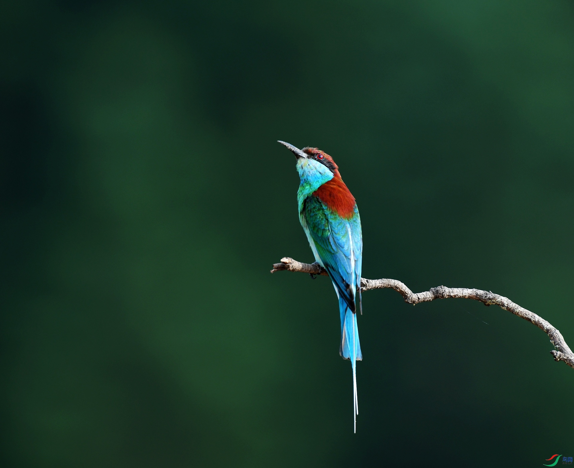 DSC_9277.jpg