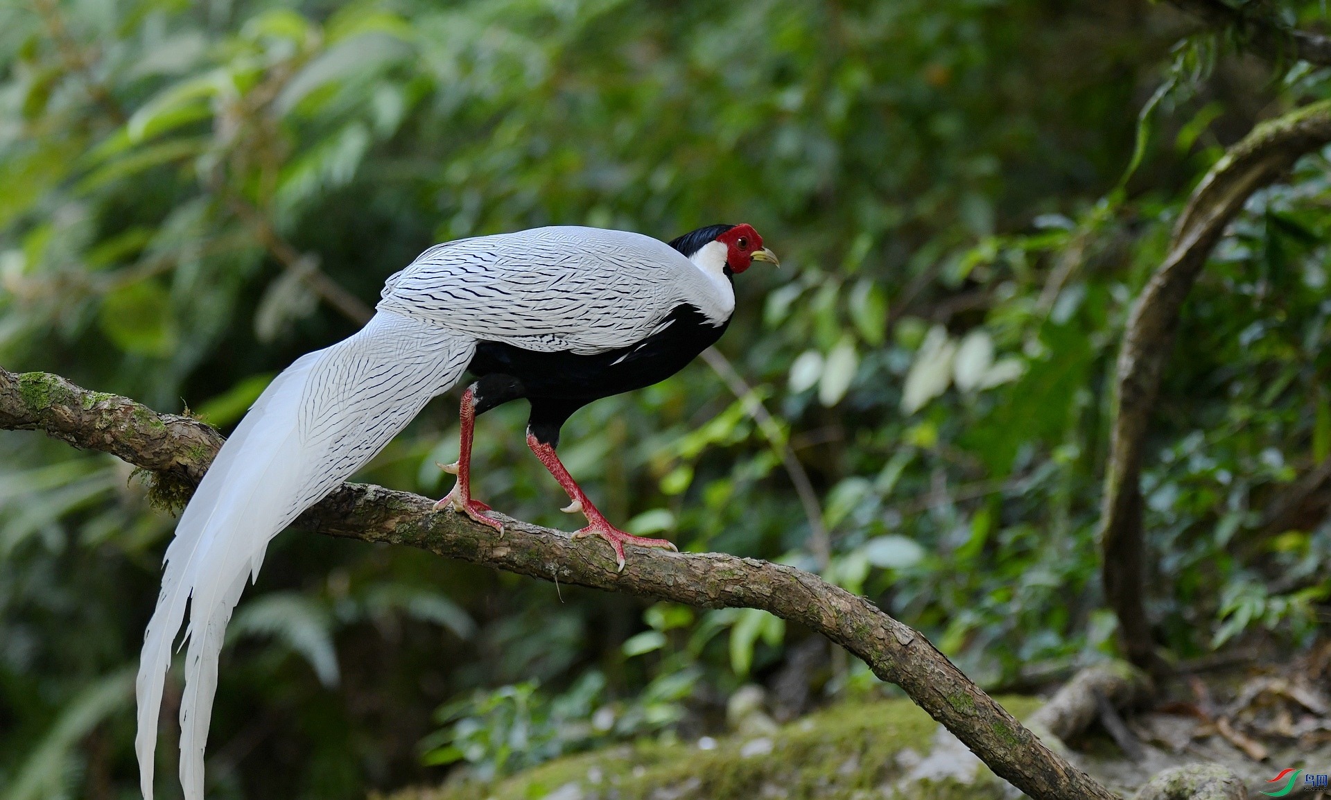DSC_8605.jpg