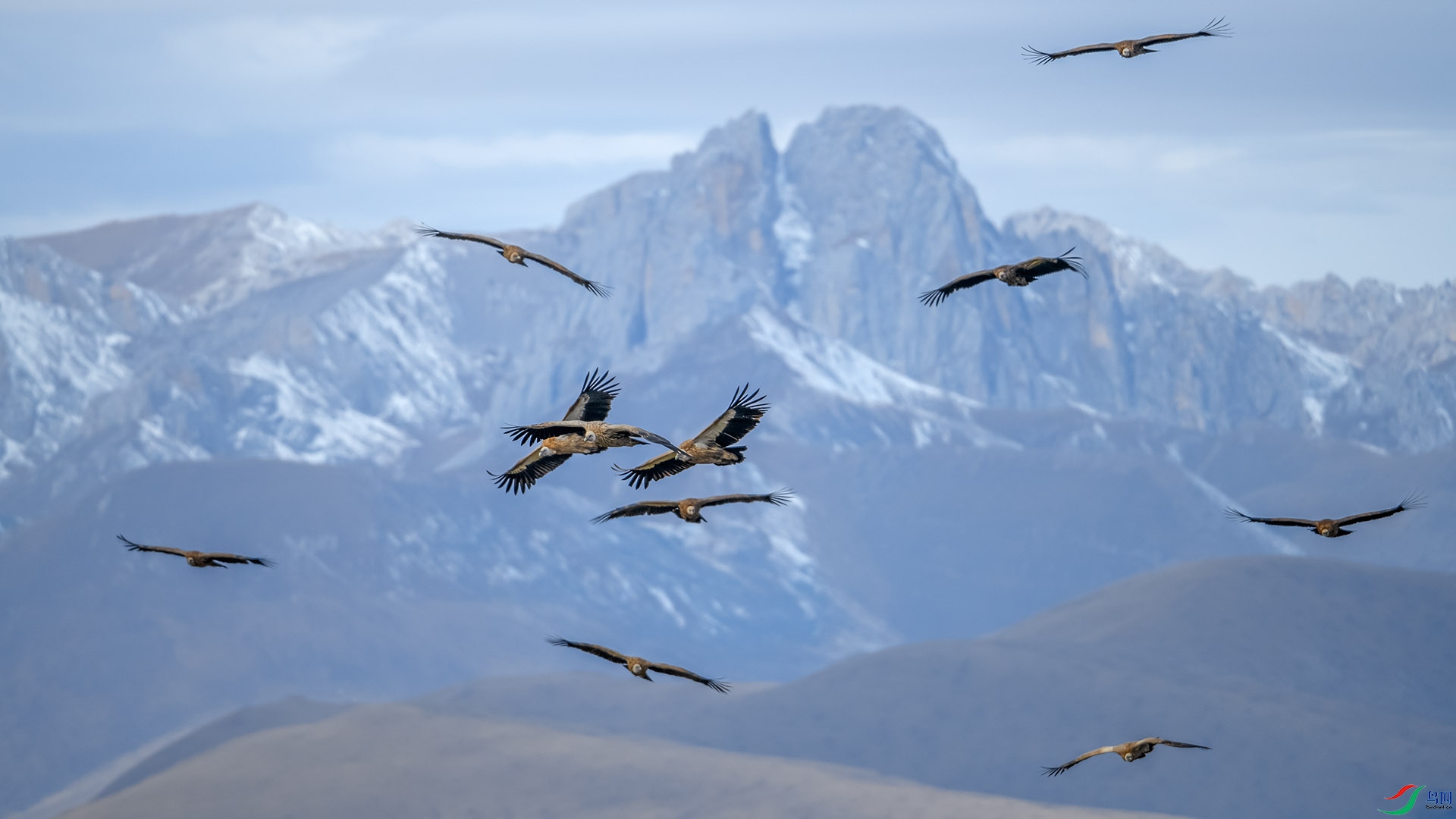 DSC_9940 ����.jpg