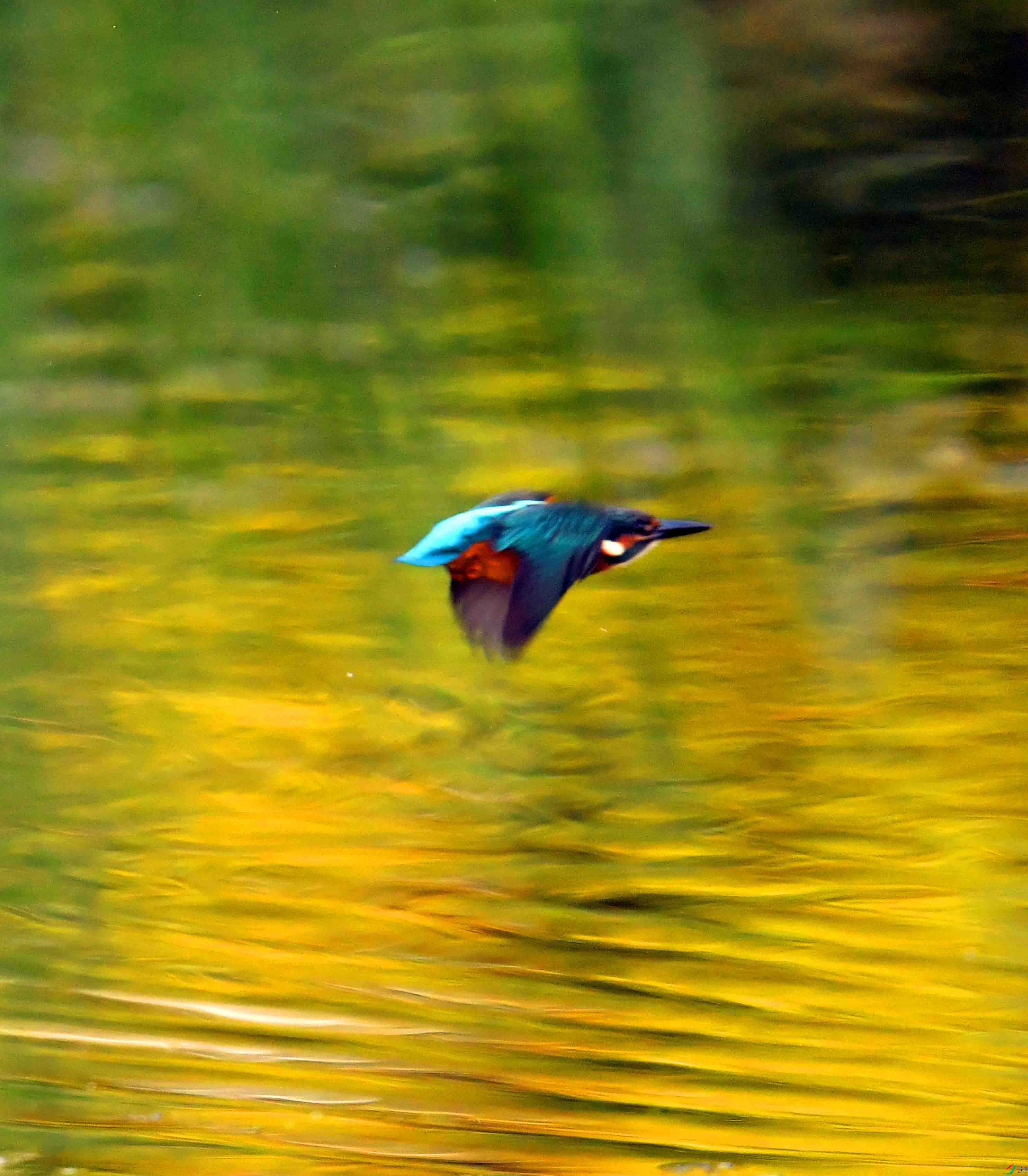 DSC_0066.JPG
