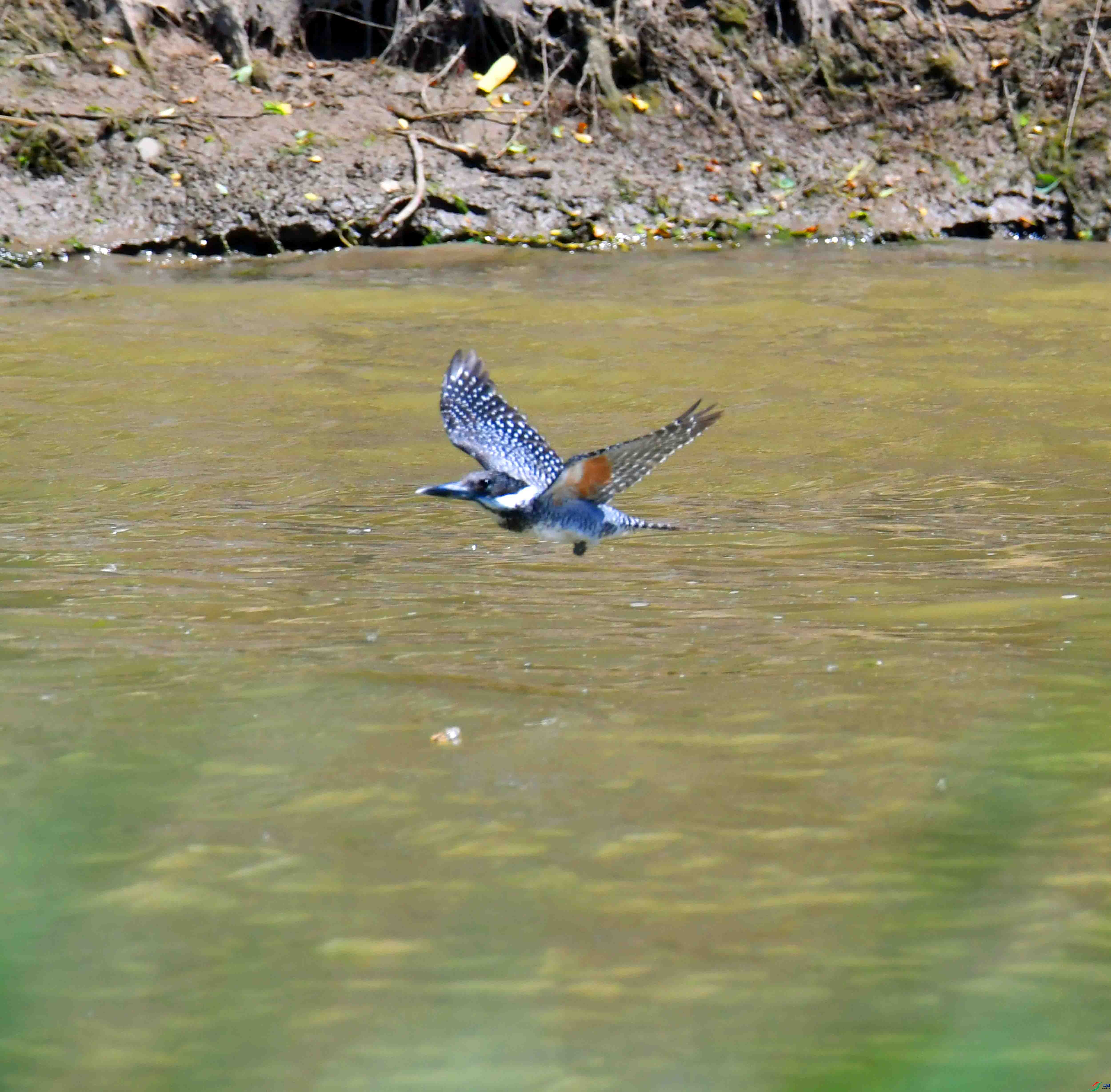 DSC_0886.JPG