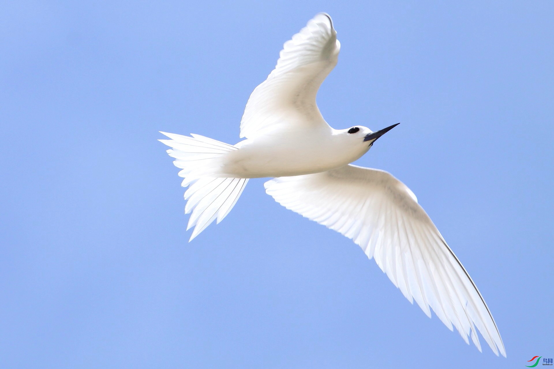 Hawaii260409 172t_1.jpg