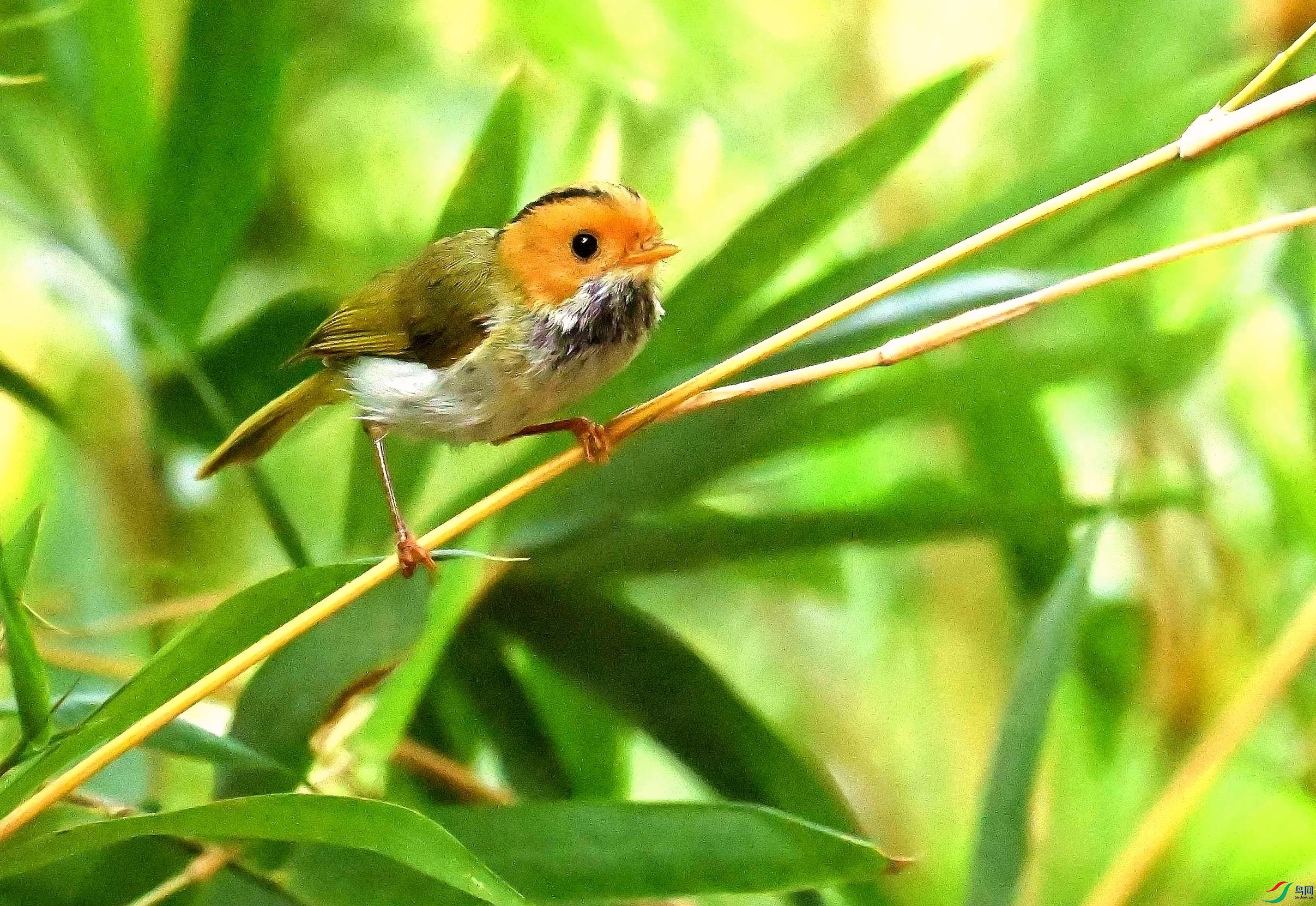 DSC_7244_����.jpg
