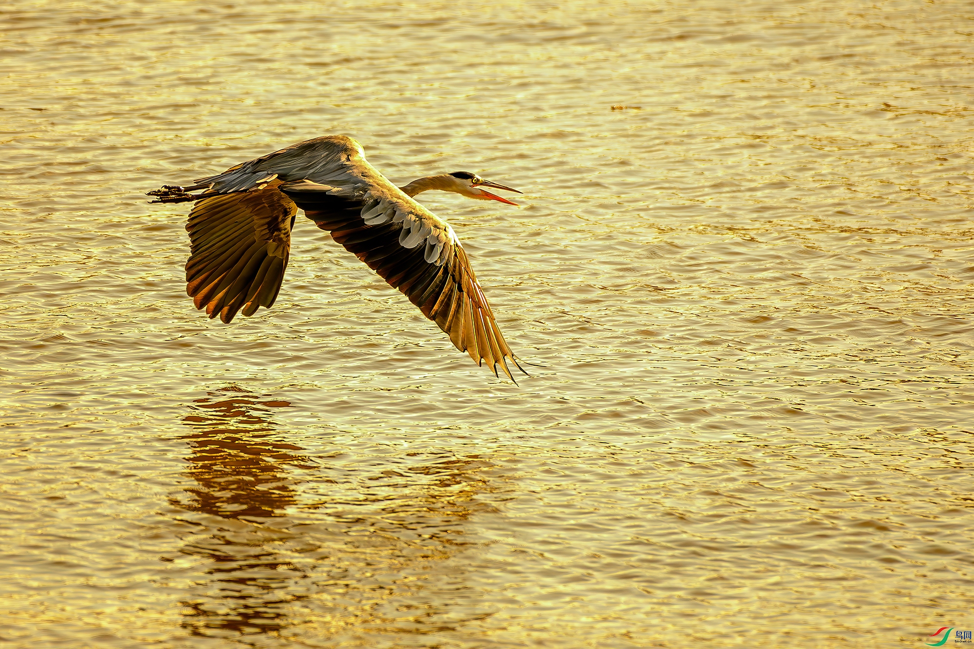 DSC_7297-AB.jpg