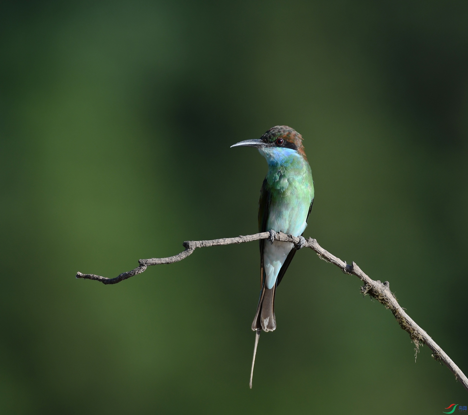 DSC_8780.jpg