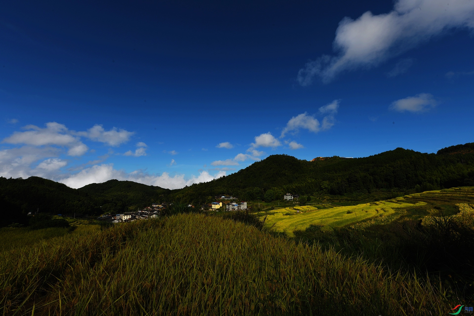 DSC_7746.jpg