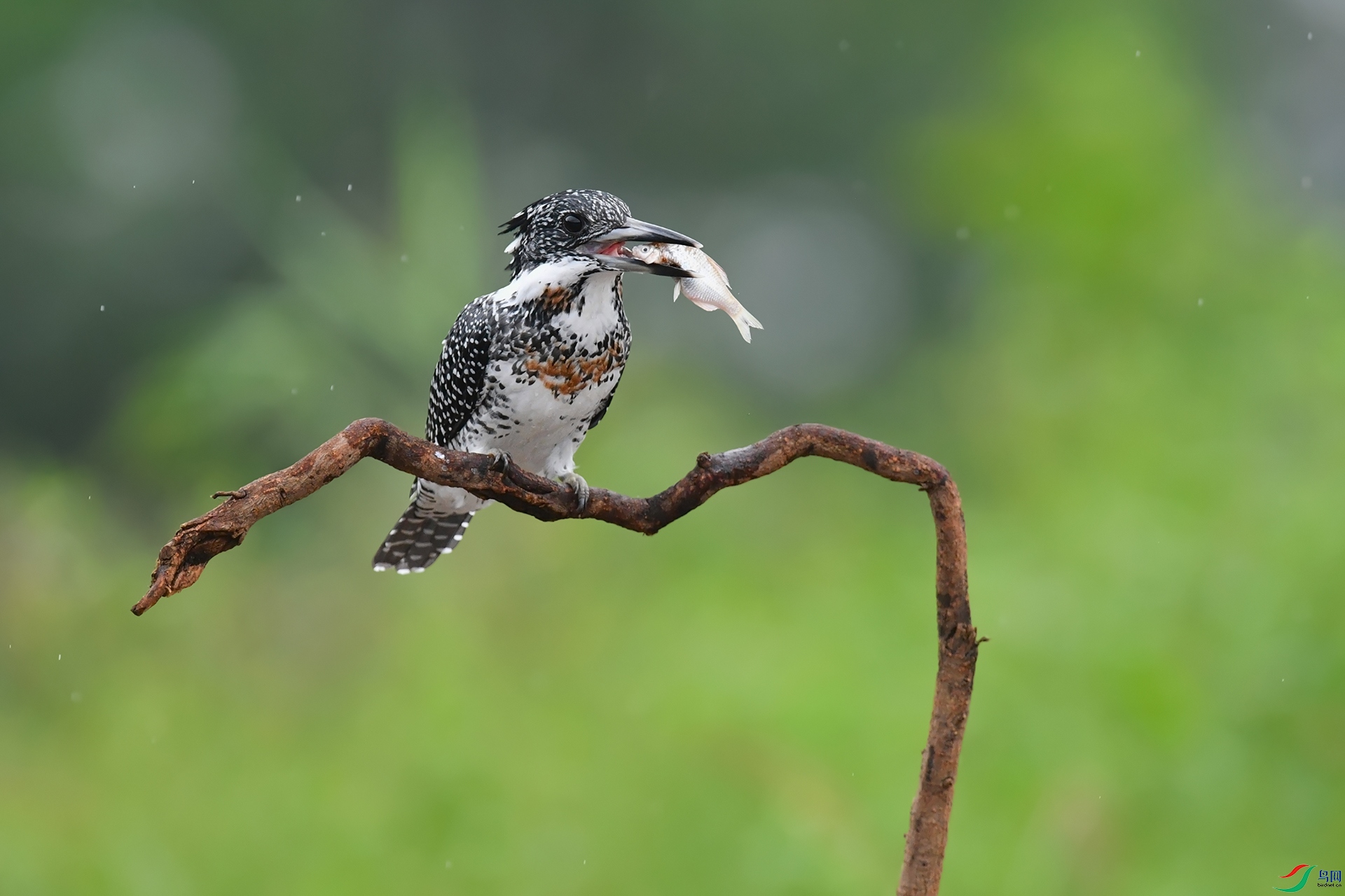 DSC_4875_DxOa.jpg