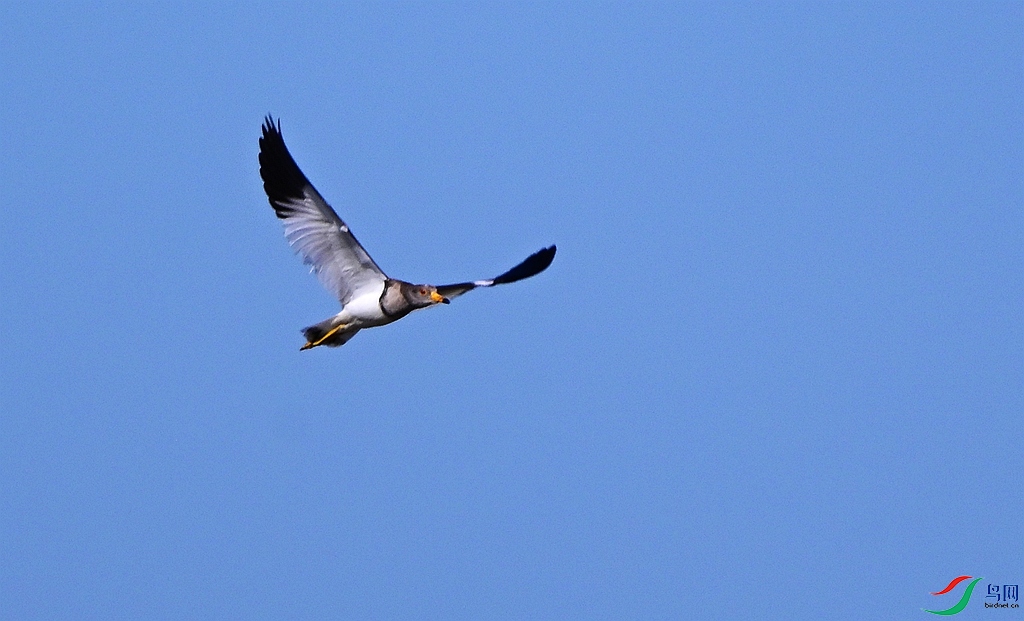DSC_6706.JPG