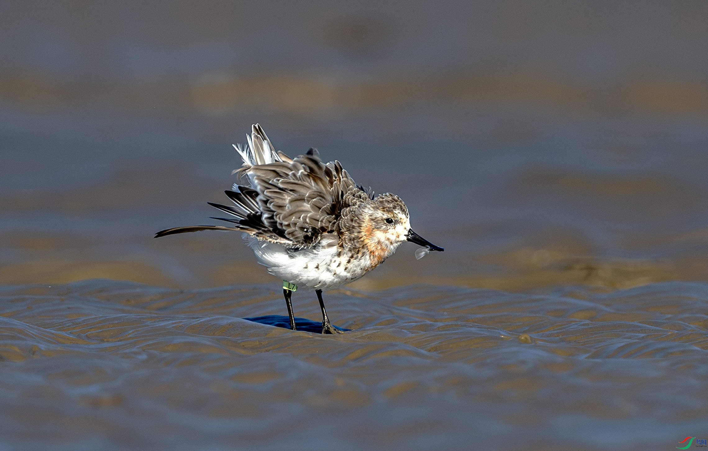 DSC_0300-����ǿ-NR ����.jpg