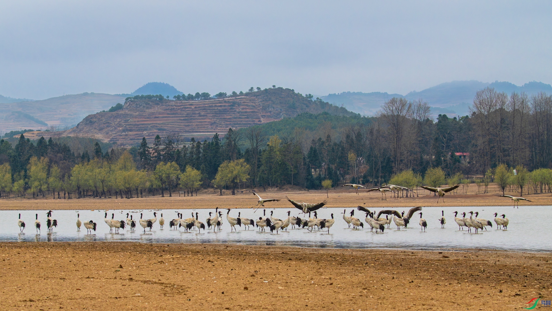 _00A4329-CR2_DxO_DeepPRIMEXD-1.jpg