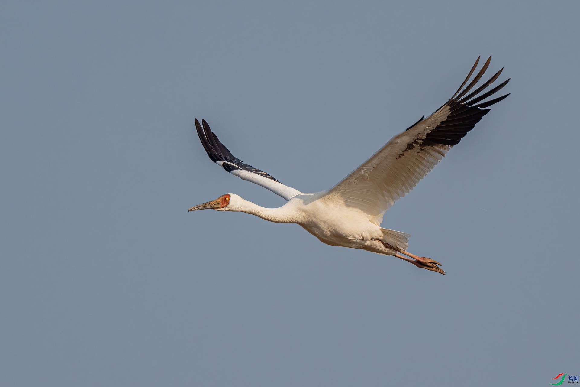 DSC_4331.jpg