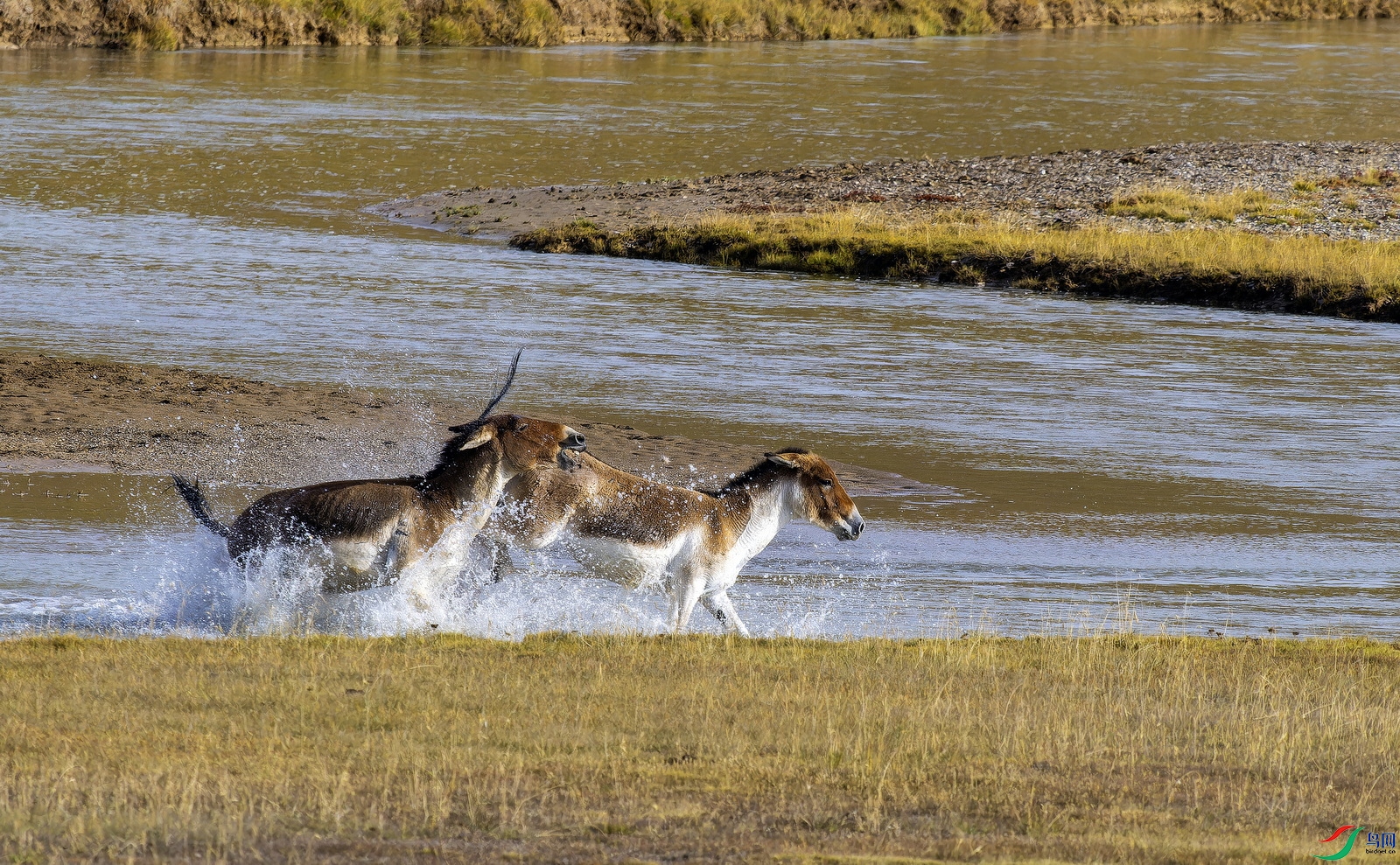 ��Ұ¿ (15)-01.jpg