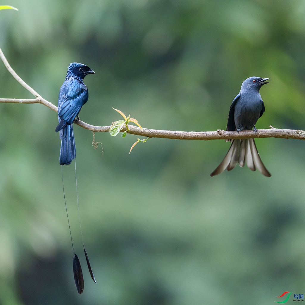 0F7A0419 ����.jpg