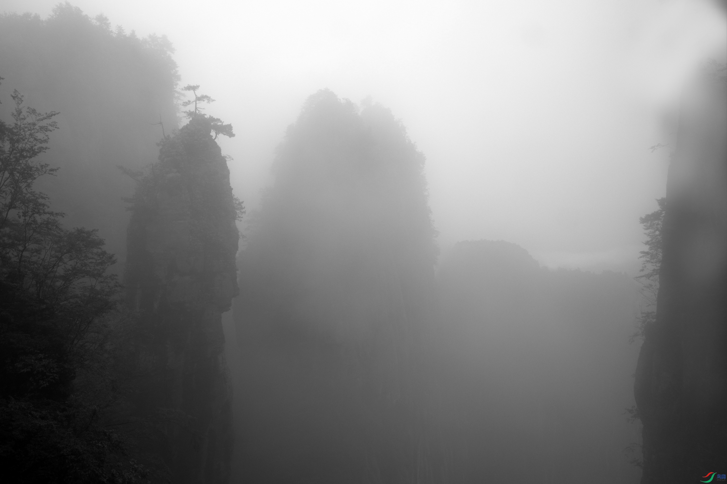 492A6858-01-01.jpg