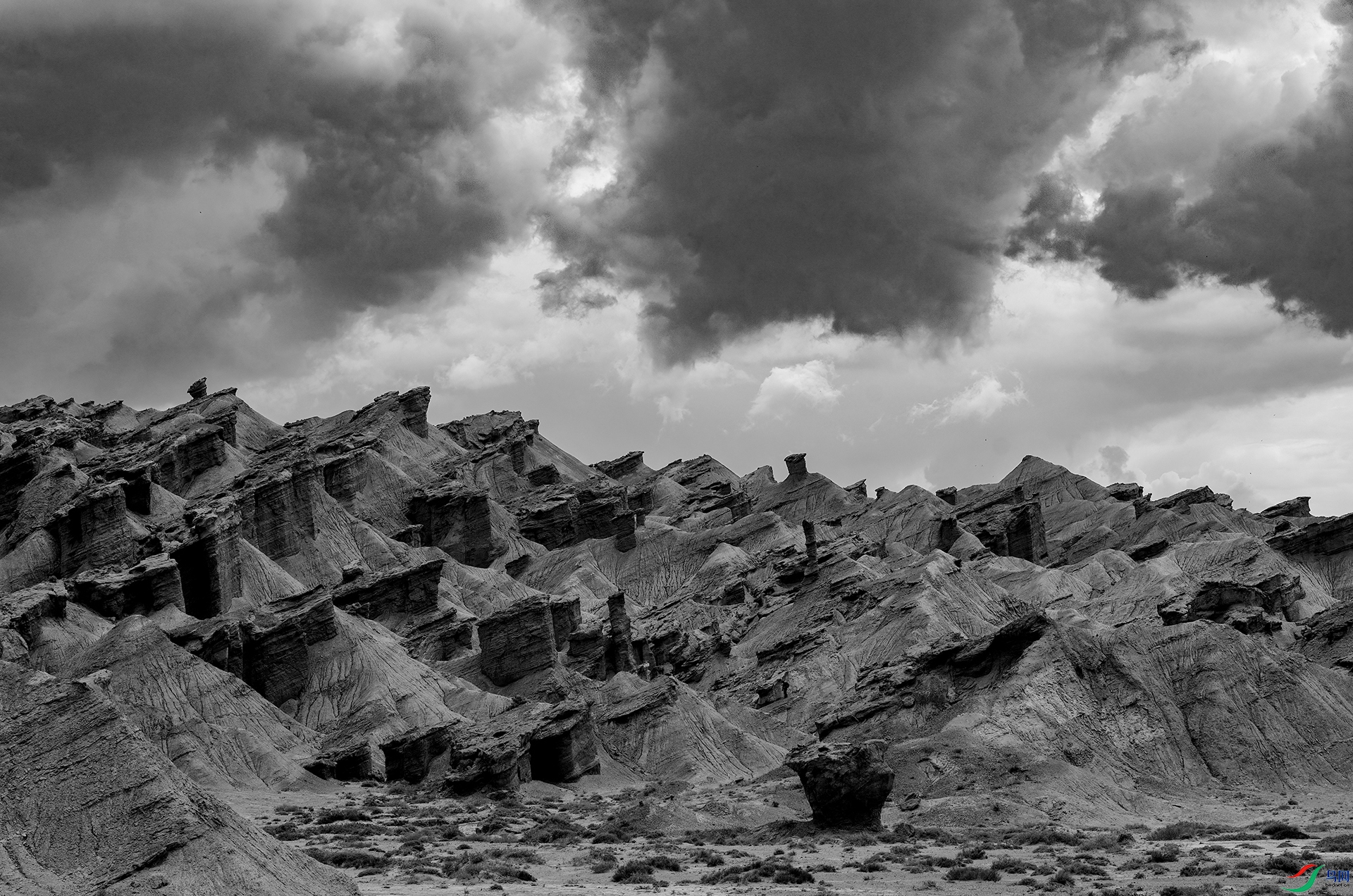 _DSC2754 - ���ζ�ħ����.jpg