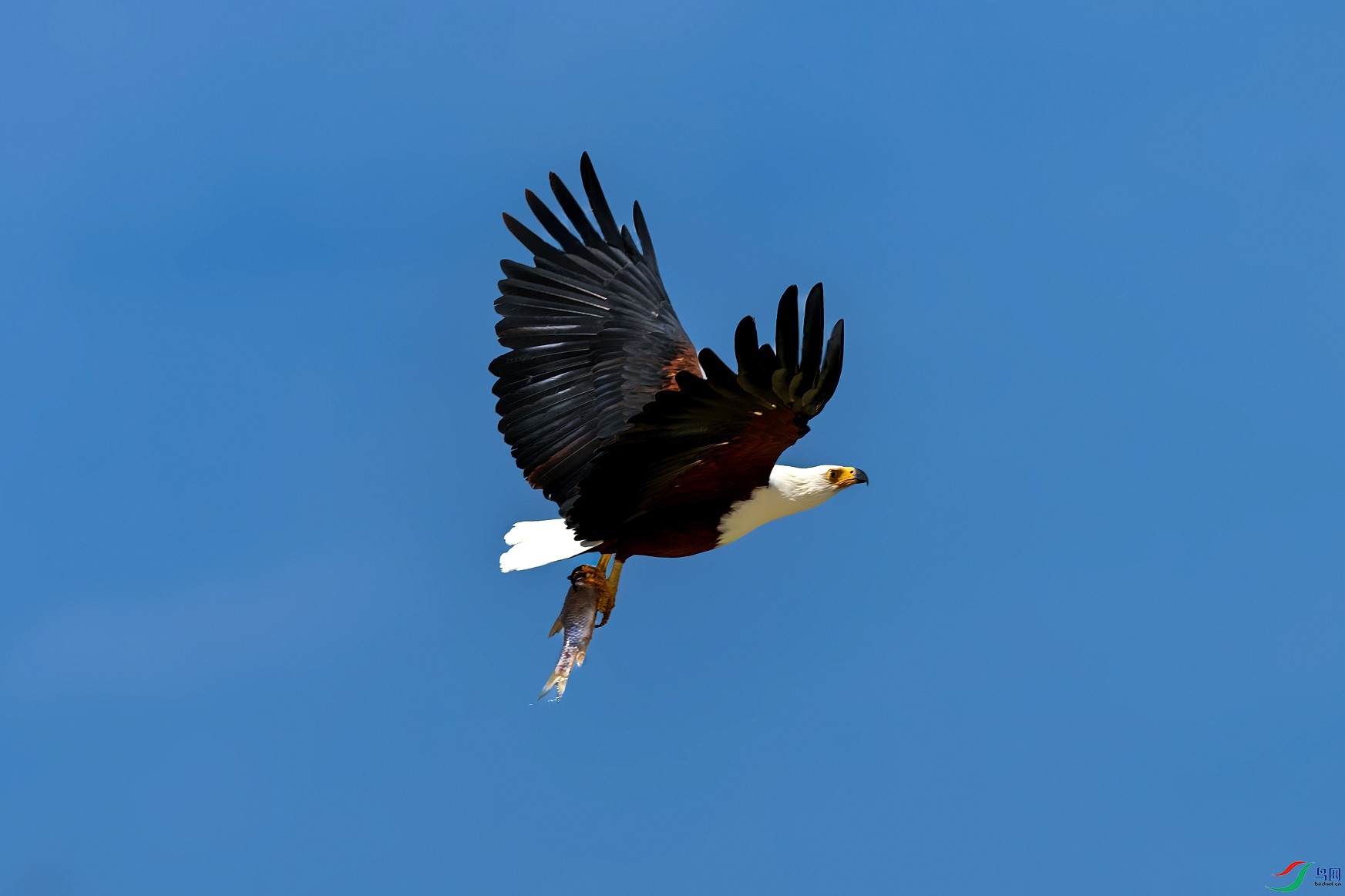 ���޺���